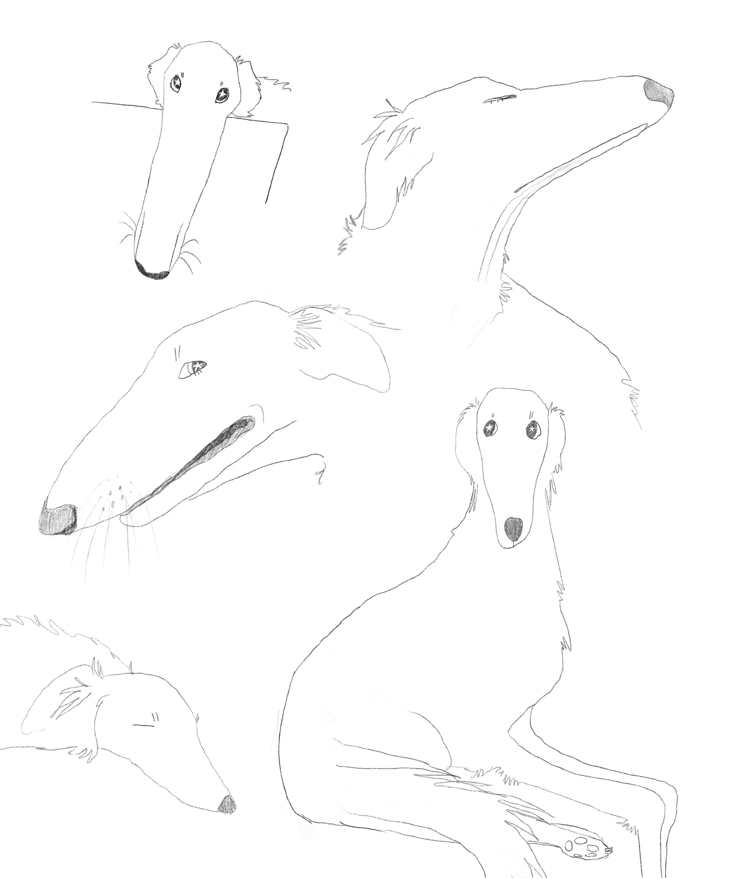 Untitled_Artwork 15.JPG