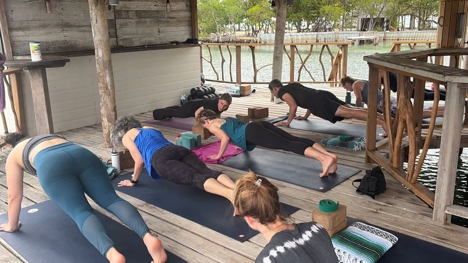 Yoga class holding plank