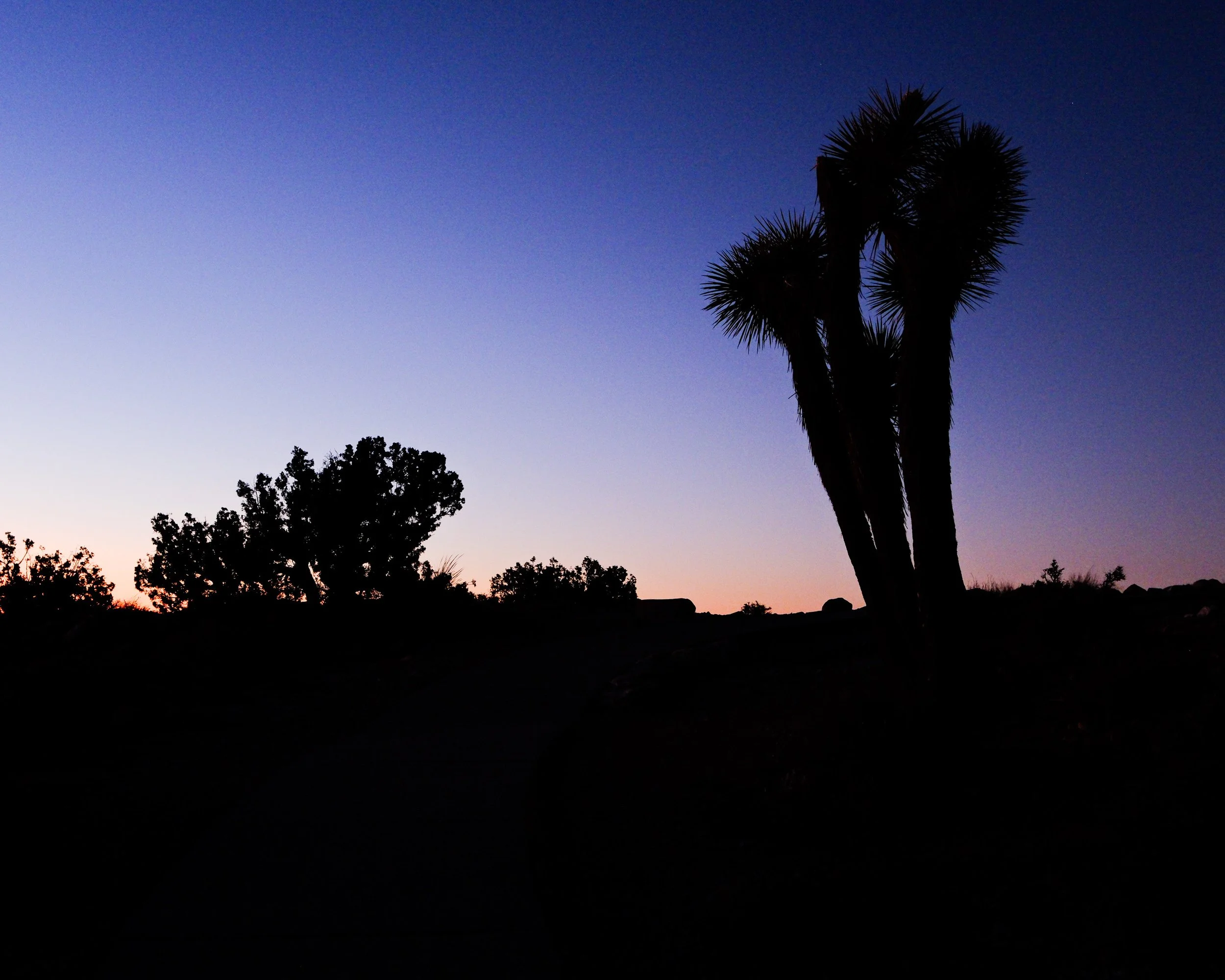 DSCF2579.jpg