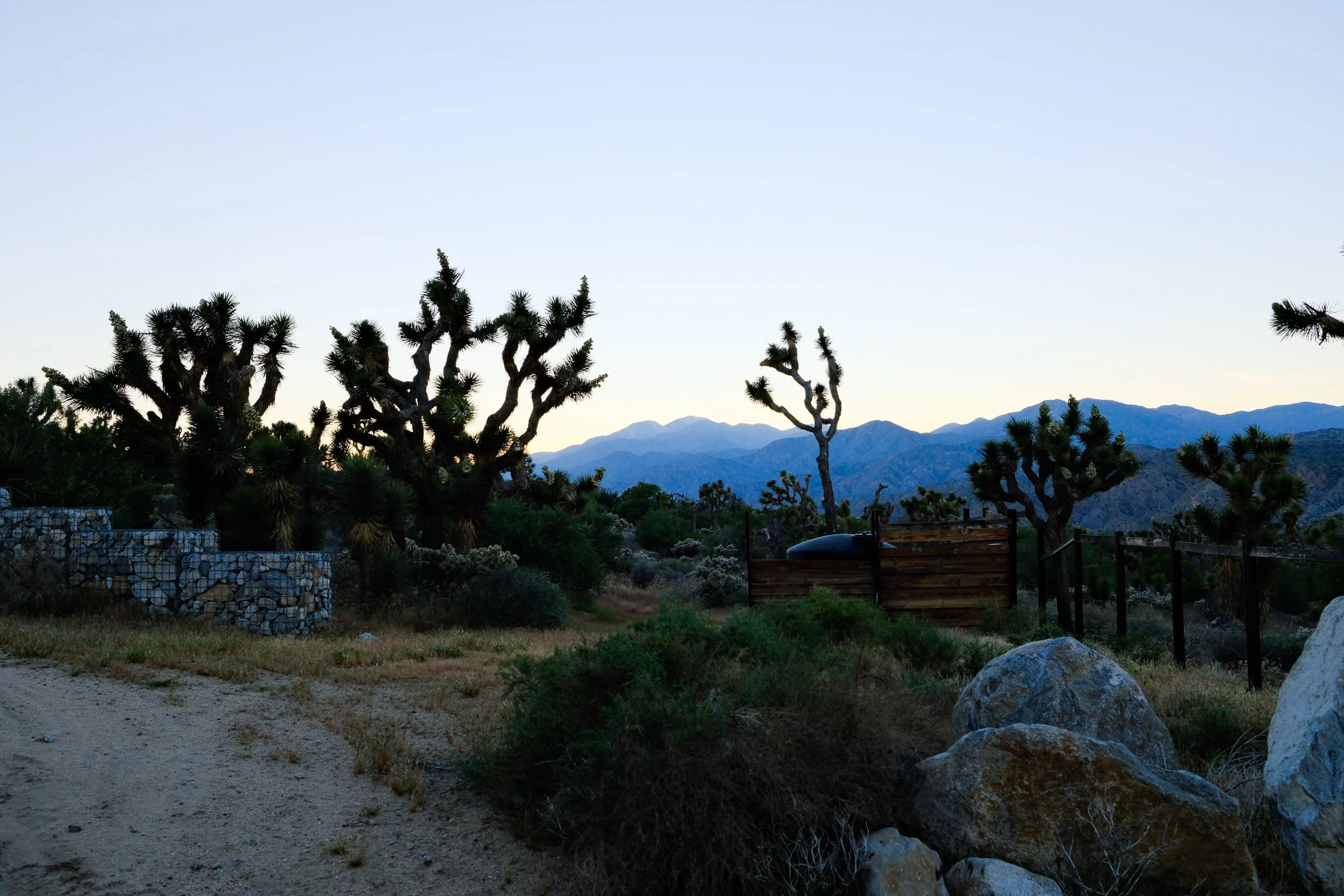 DSCF2316.jpg