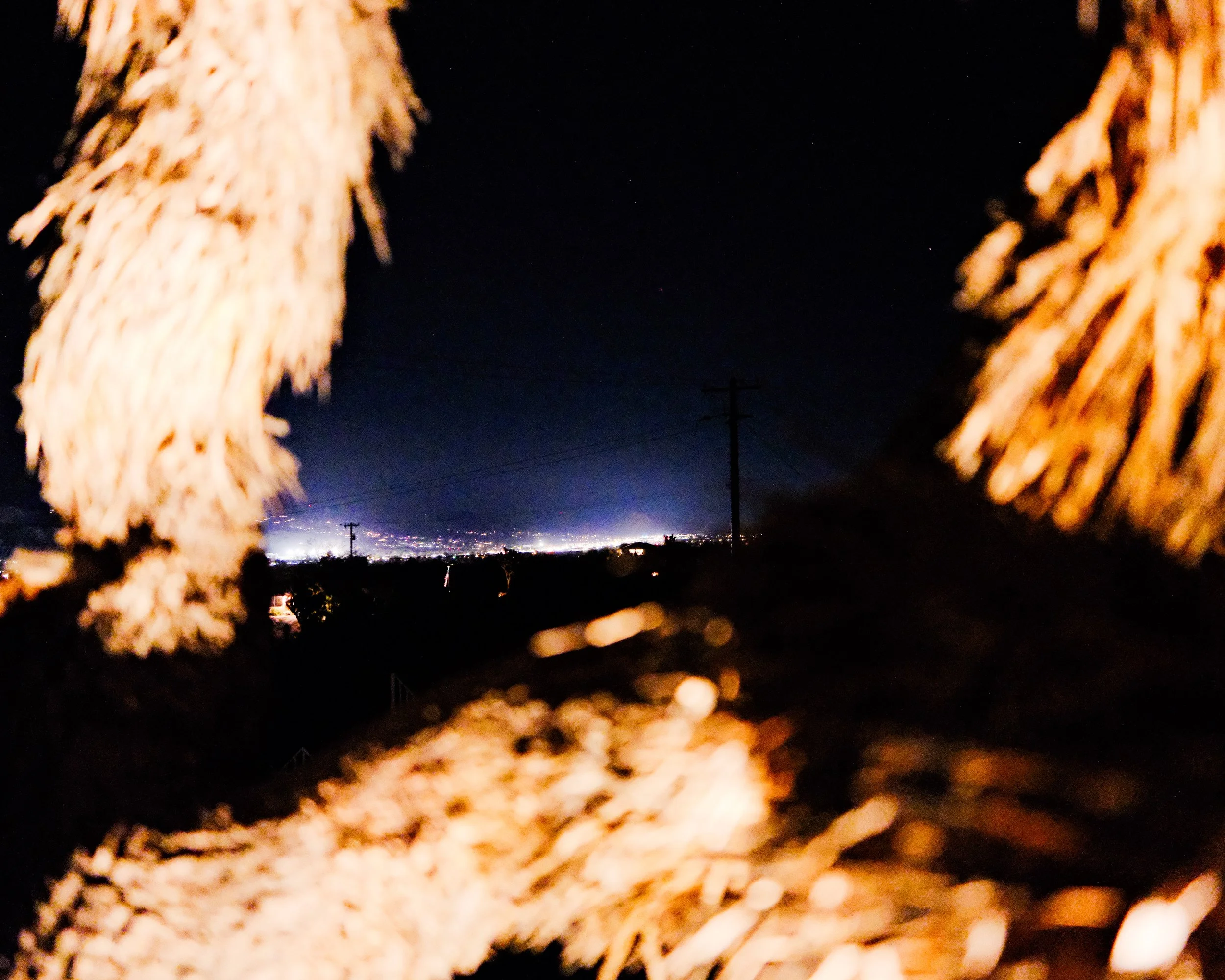 DSCF2399.jpg