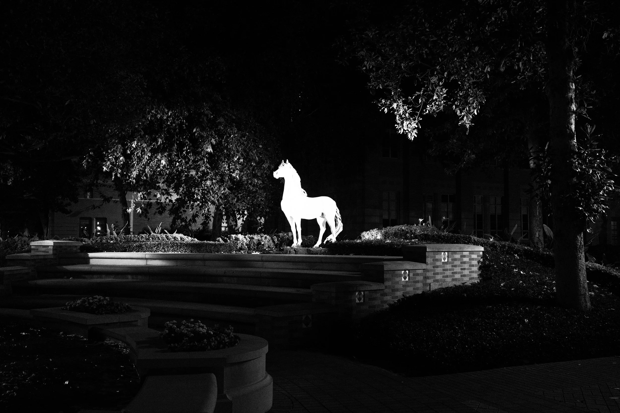 DSCF5721.jpg