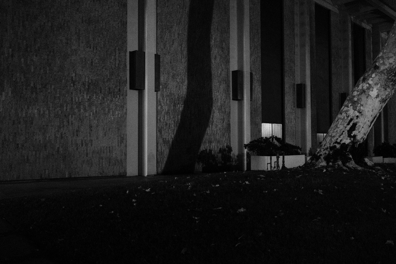DSCF5795 Large.jpeg