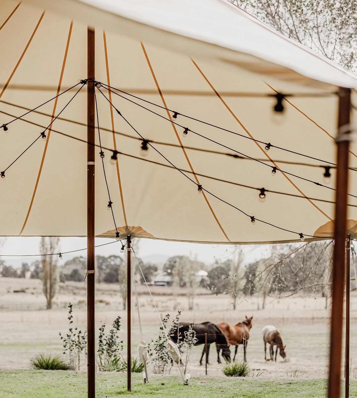 Wedding season is well and truly upon us! 

#StirlingHomestead #WeddingIdeas #WeddingPlanning #VICWeddingVenues #RuralWeddings #HighCountryWeddings #AirbnbWedding #CountryEscape #GardenWedding #BarnVenue #StayInMansfield #UniqueStays #CountryWedding#