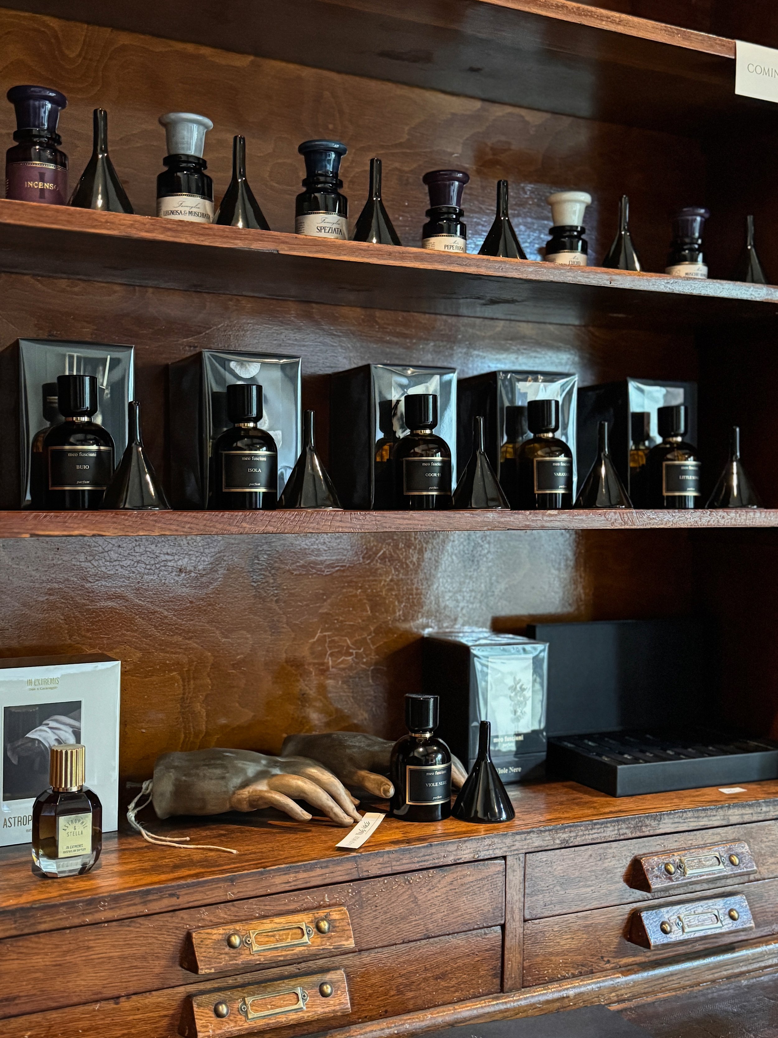 Local and Rare — Shop | Discover Unique Accessories Now — Son of Wolf