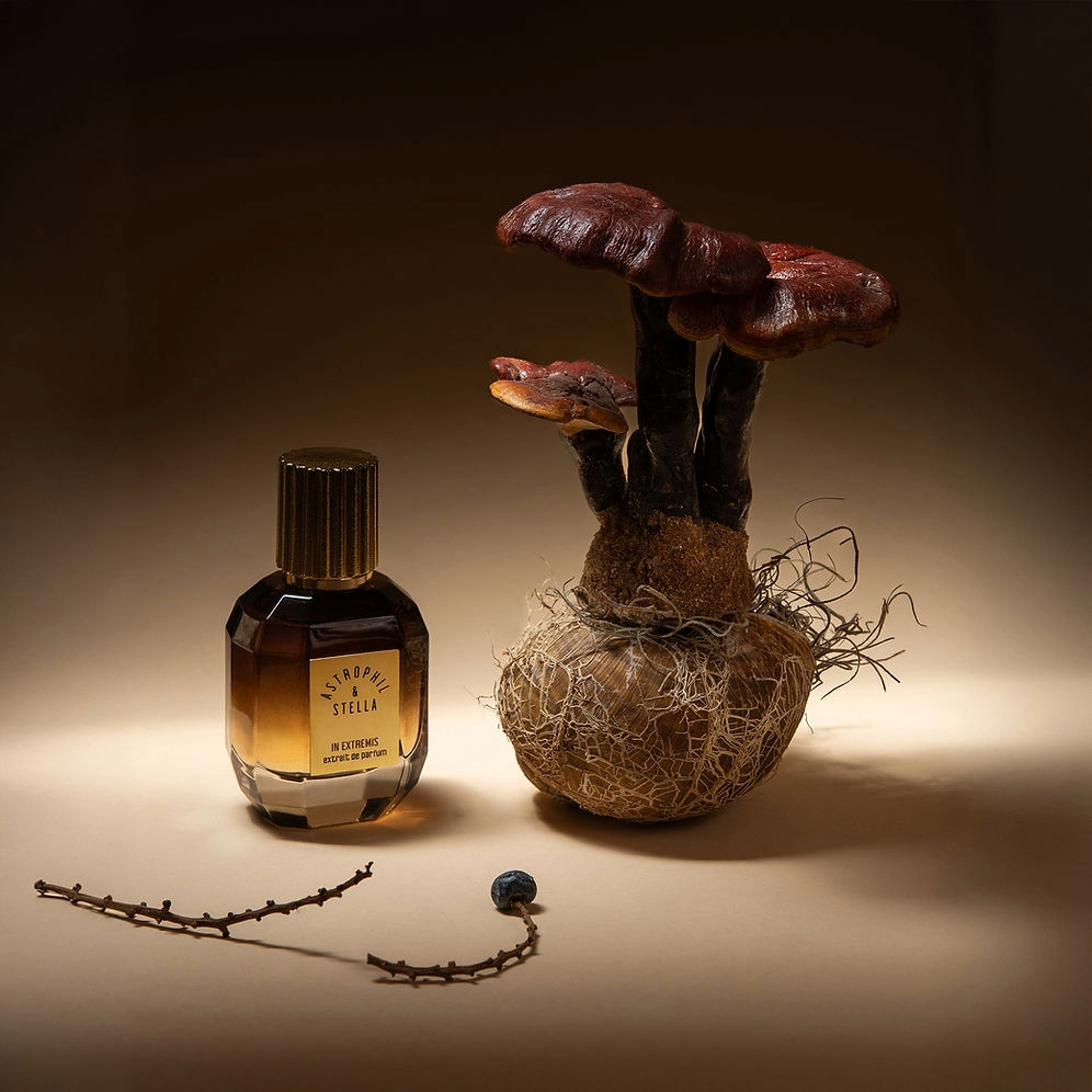Astrophil and Stella In Extremis extrait de parfum 50 ml, bottle with plant
