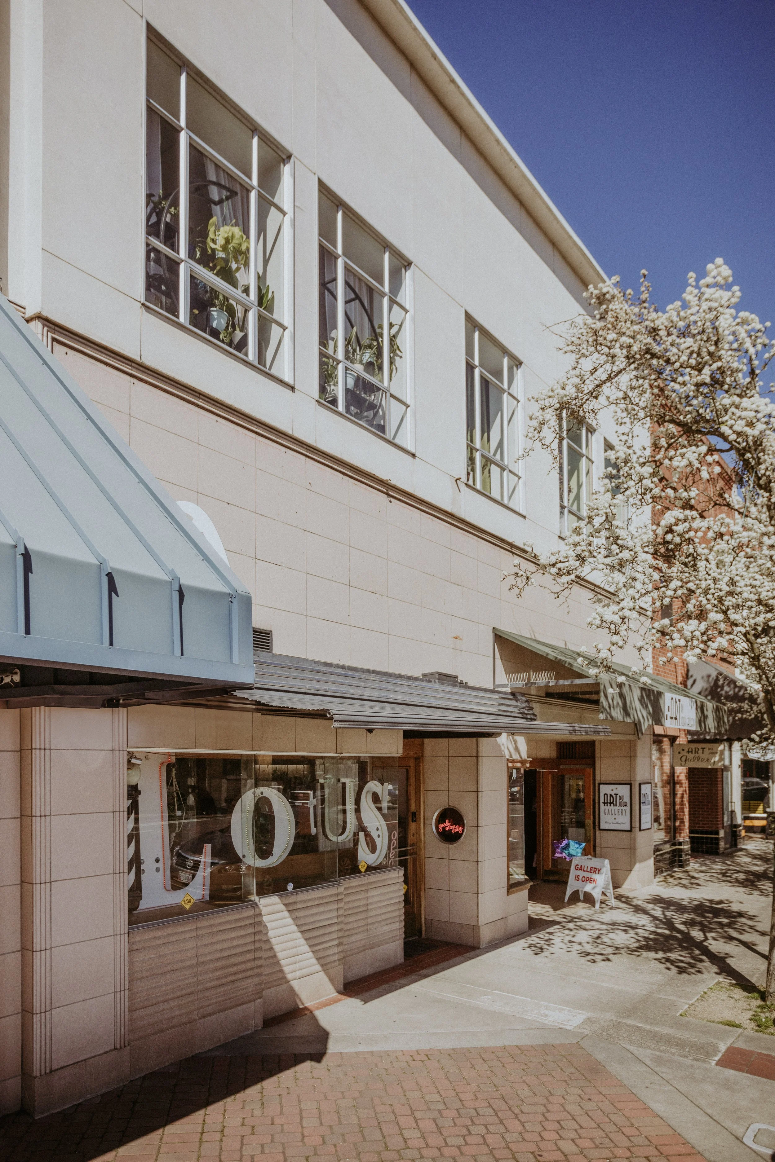 The photo shows the exterior of an art gallery store with glass windows. There are signs indicating the gallery is open, and a small white sandwich board outside the entrance. A blossoming tree with white flowers is visible on the right side. The building has beige tiled walls and a metal awning over the entrance. The sky is clear and blue.