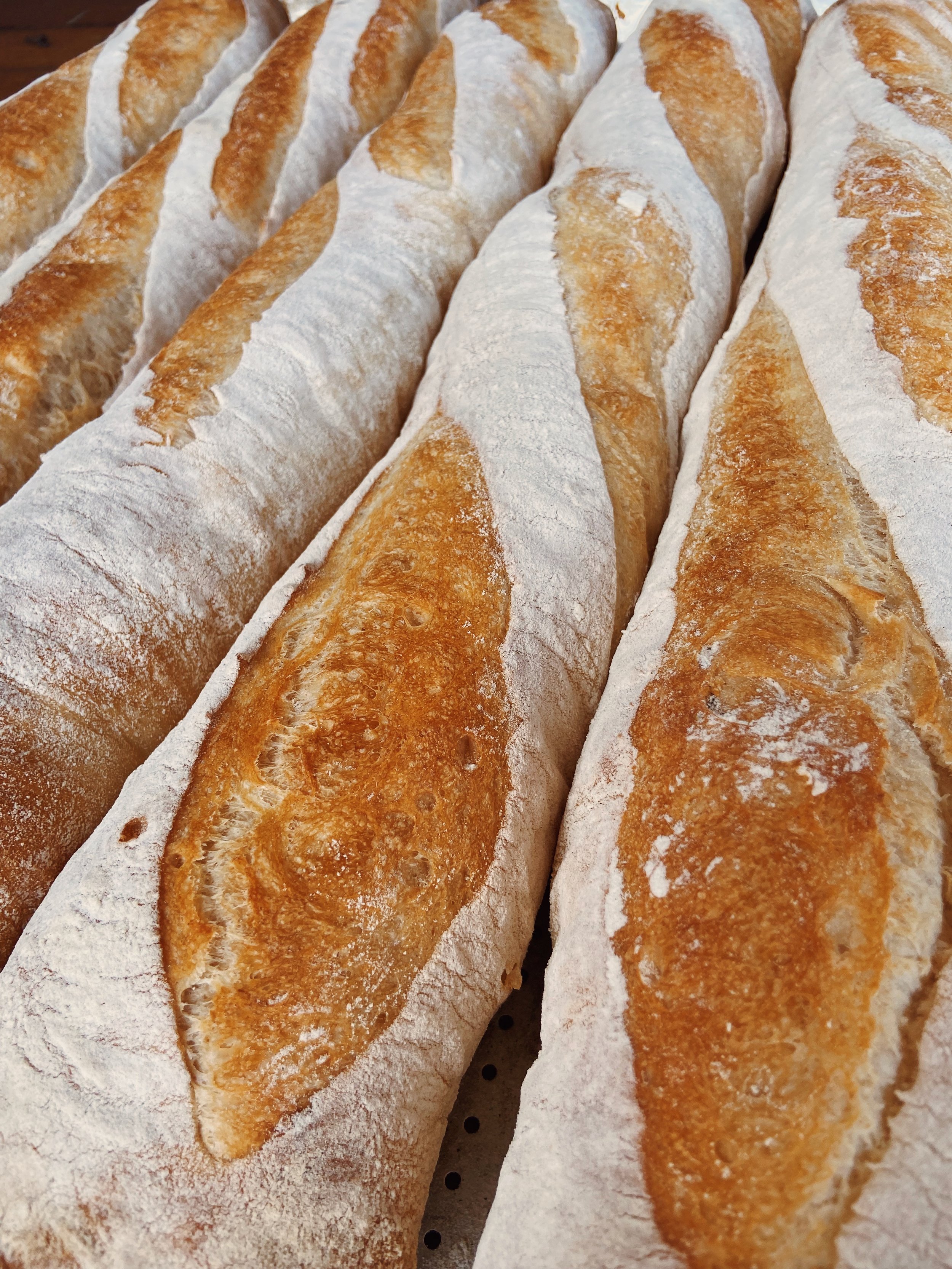 Several freshly baked baguettes with a golden-brown crust, dusted with white flour. from best bakary in panama, Pan y Canela