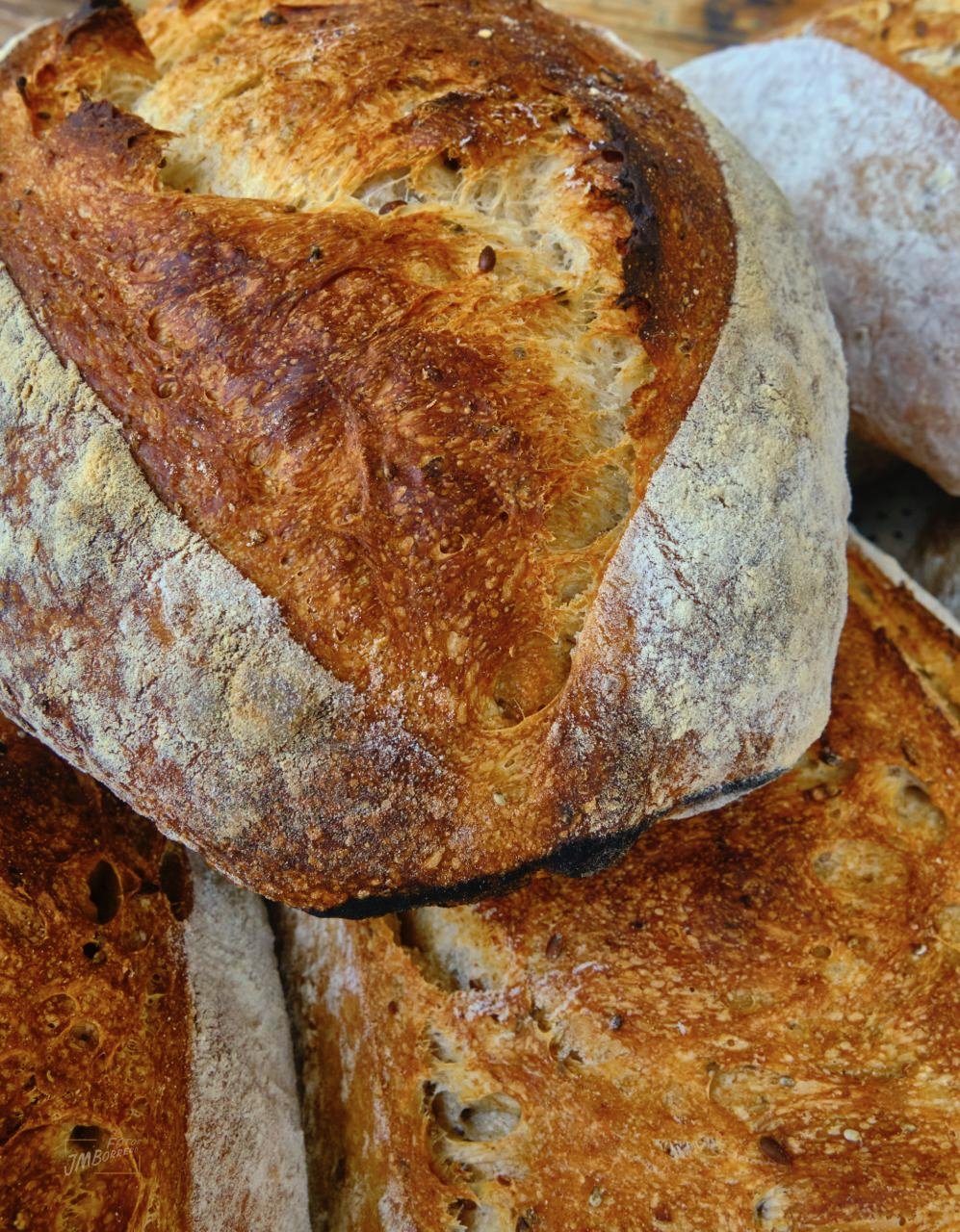 Close-up of freshly baked rustic artisanal bread with a golden-brown crust and a dusting of flour.
