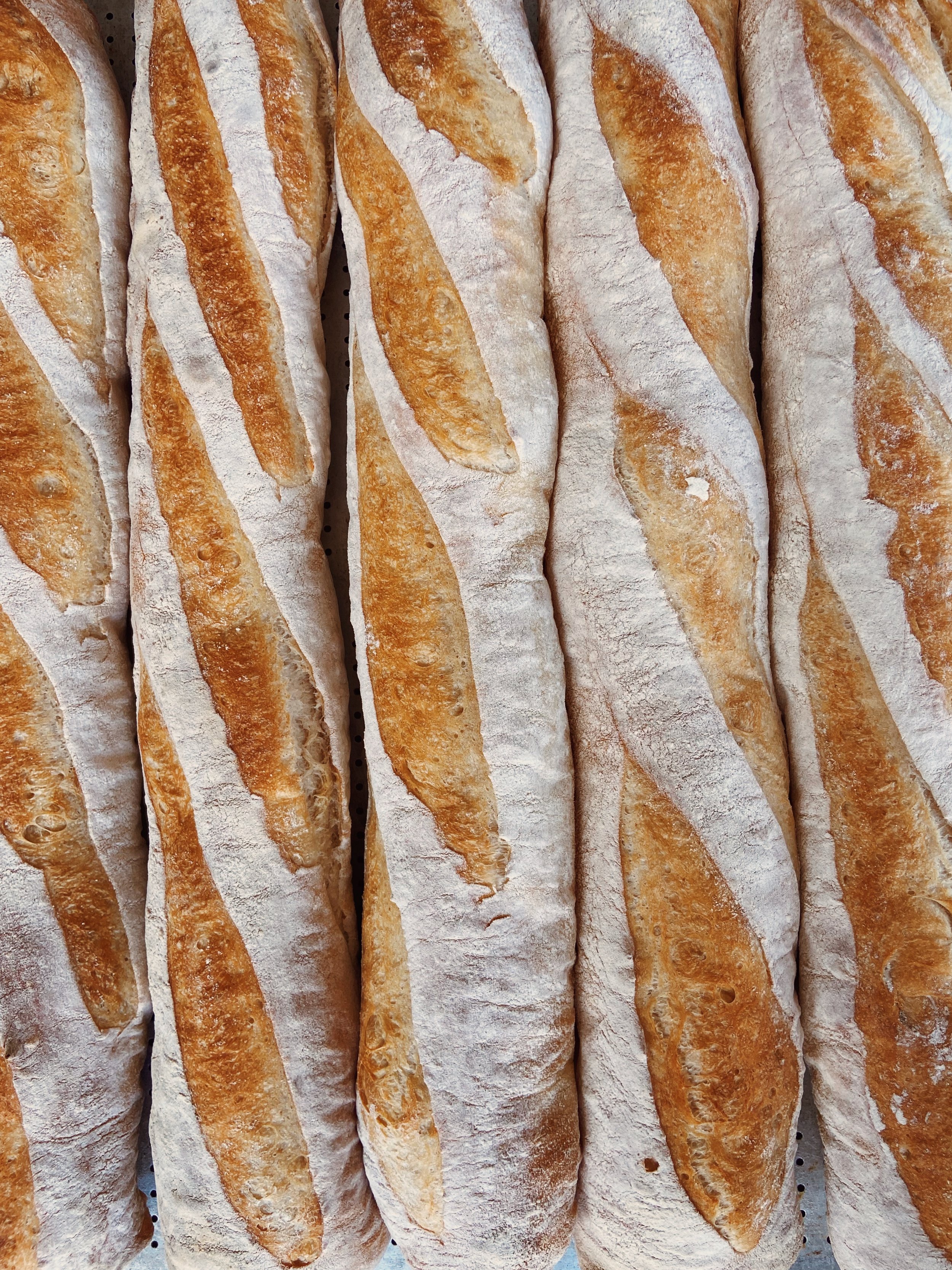 Several baguettes with crispy, golden crusts and scoring marks, dusted with flour.