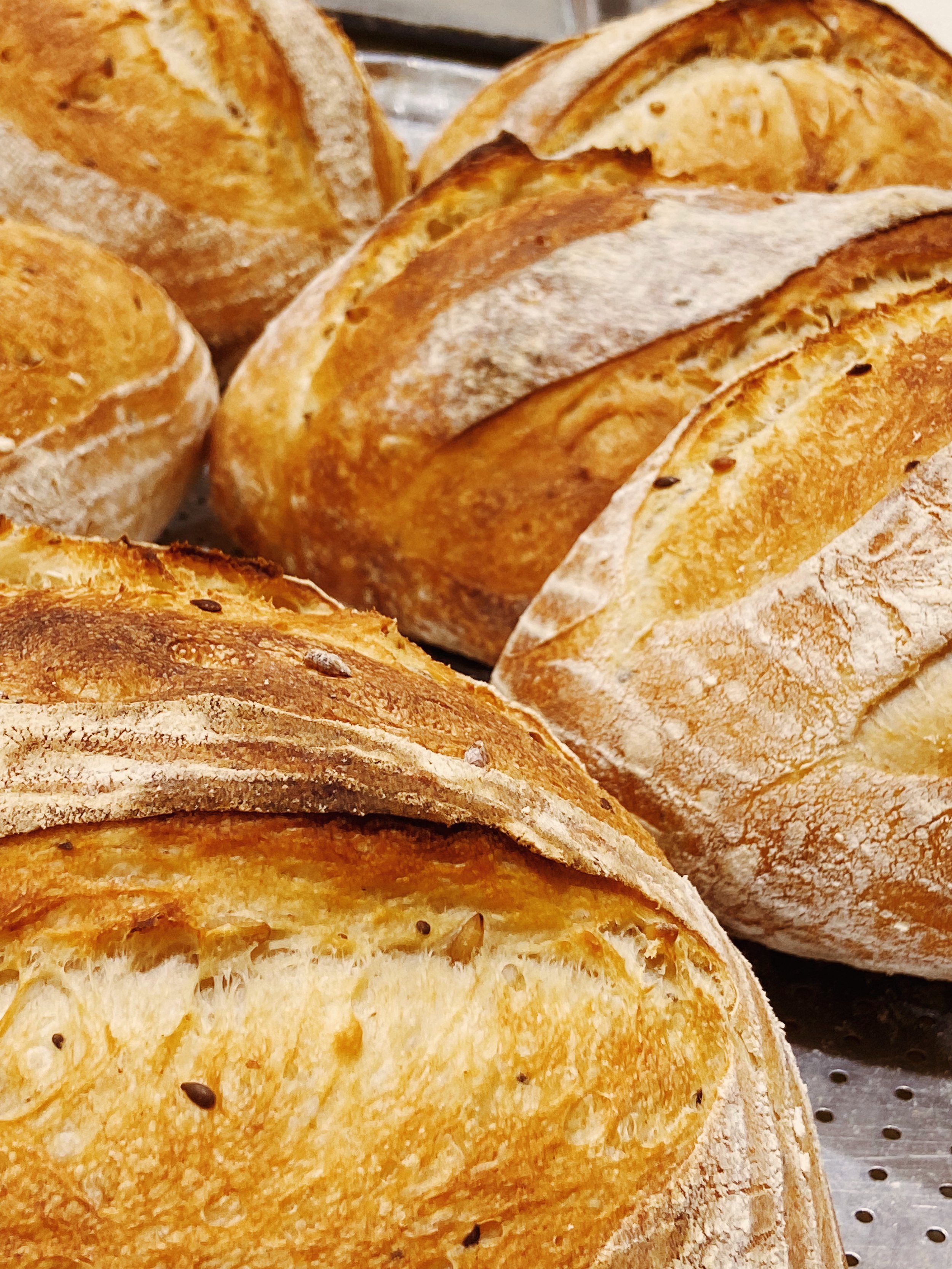 Close-up of freshly baked artisan bread loaves with a golden-brown crust and dusting of flour.