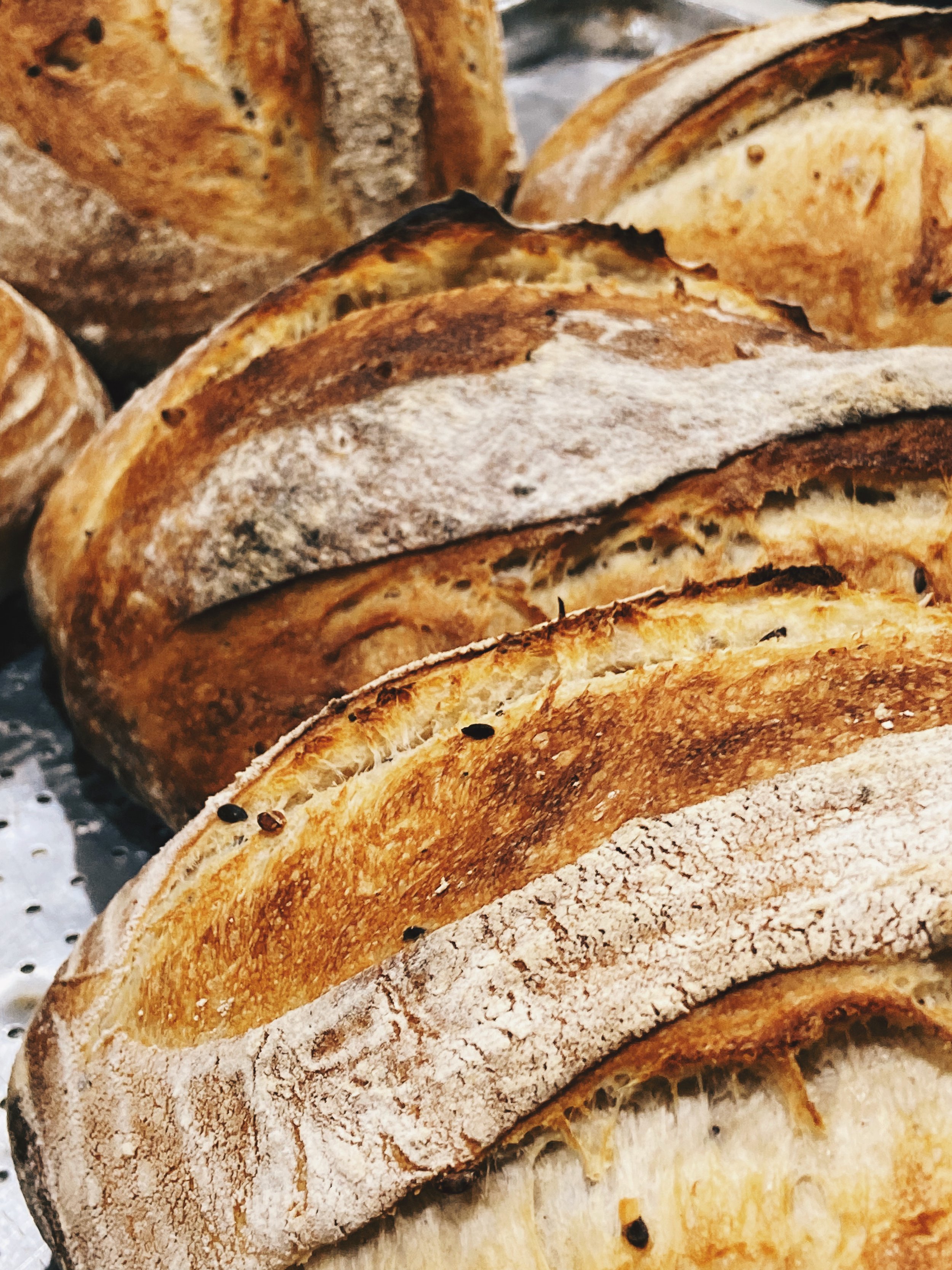 Close-up of freshly baked rustic bread with a dusting of flour on the crust.