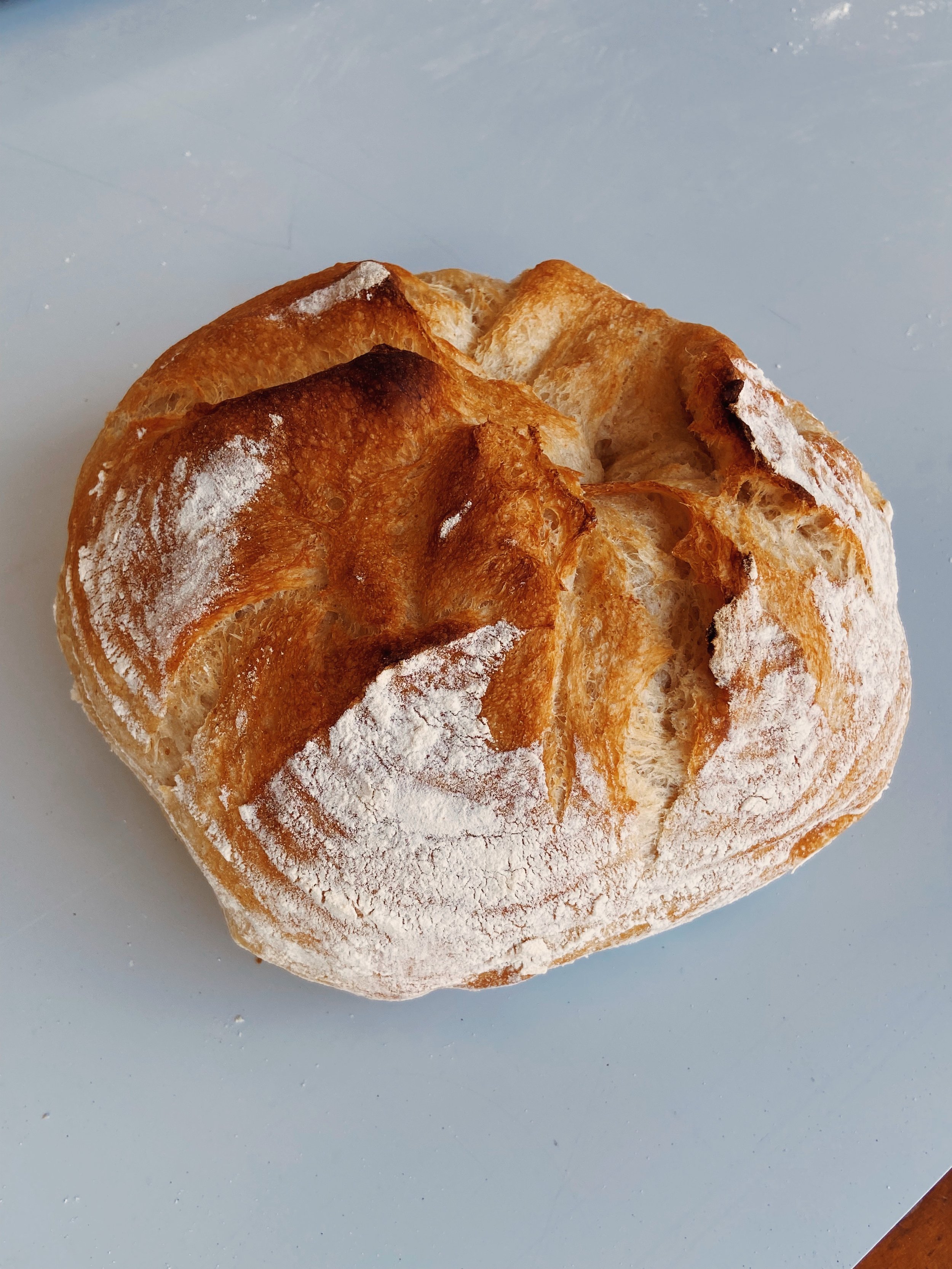 A freshly baked round sourdough bread with a golden crust and dusted with flour, sitting on a light-colored surface.