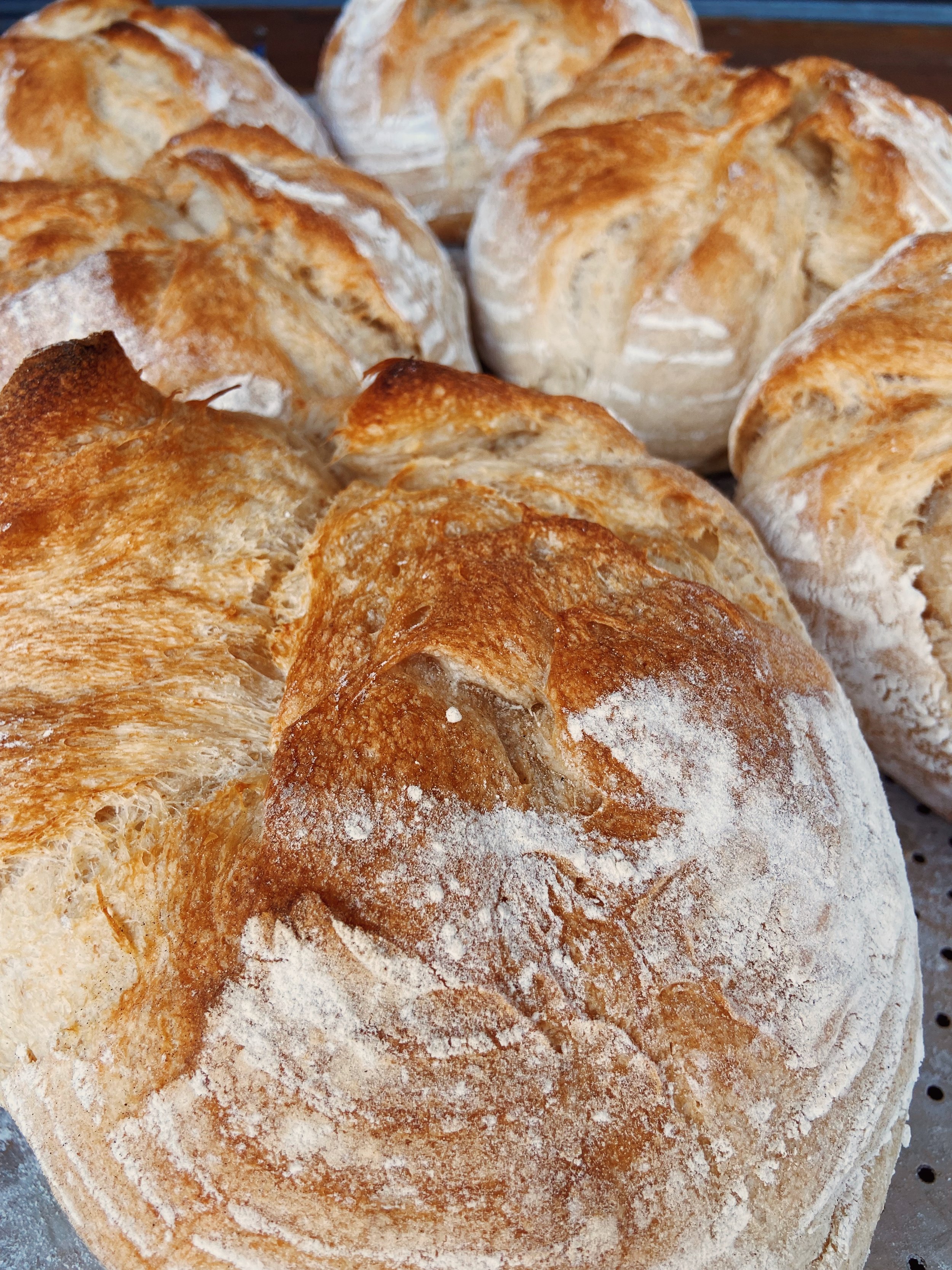 Several freshly baked sourdough bread loaves with a golden crust and white flour dusting.