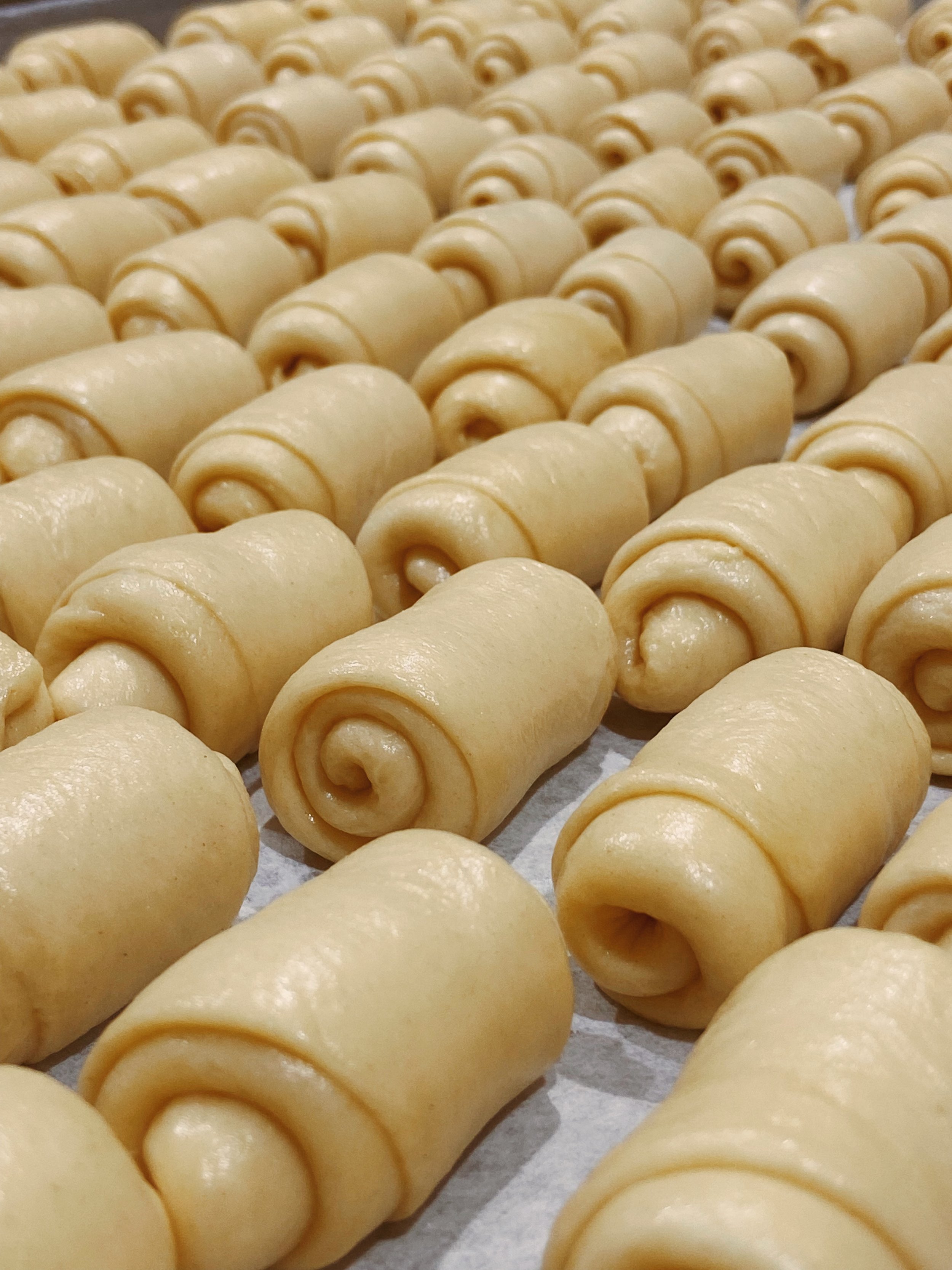 Unbaked crescent roll dough arranged on baking sheets in rows.