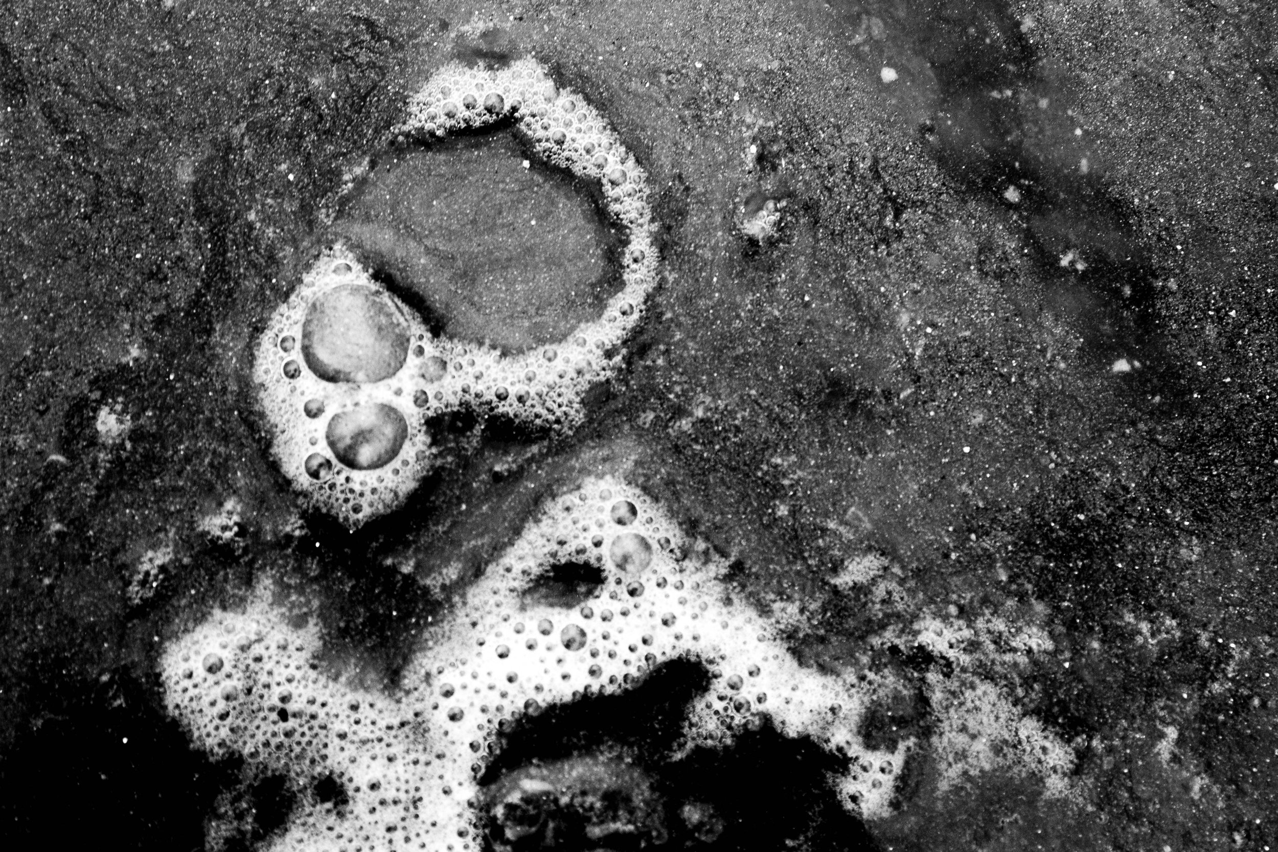 Icey (4 of 28) (1).jpg