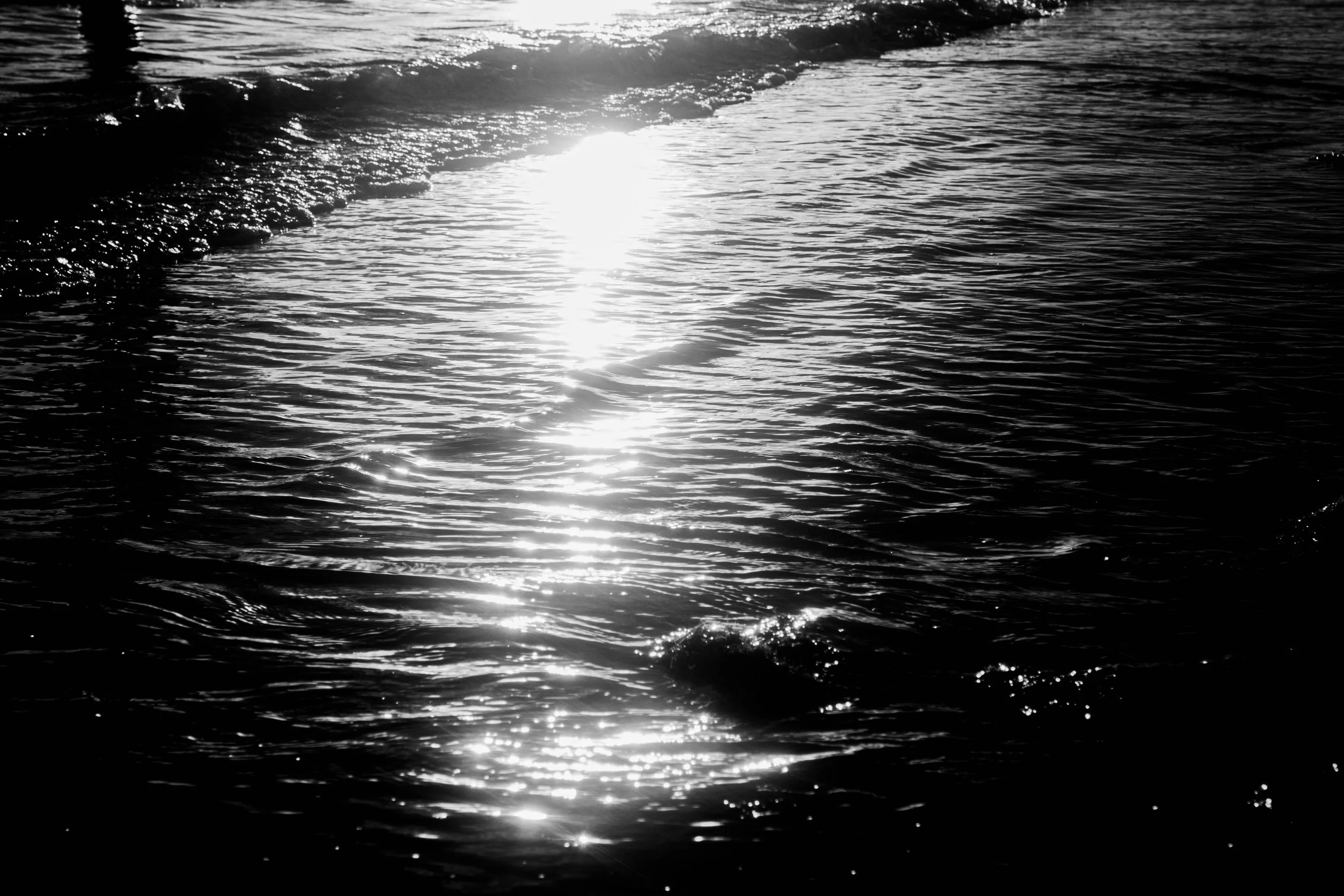 Florida 24 (46 of 64).jpg