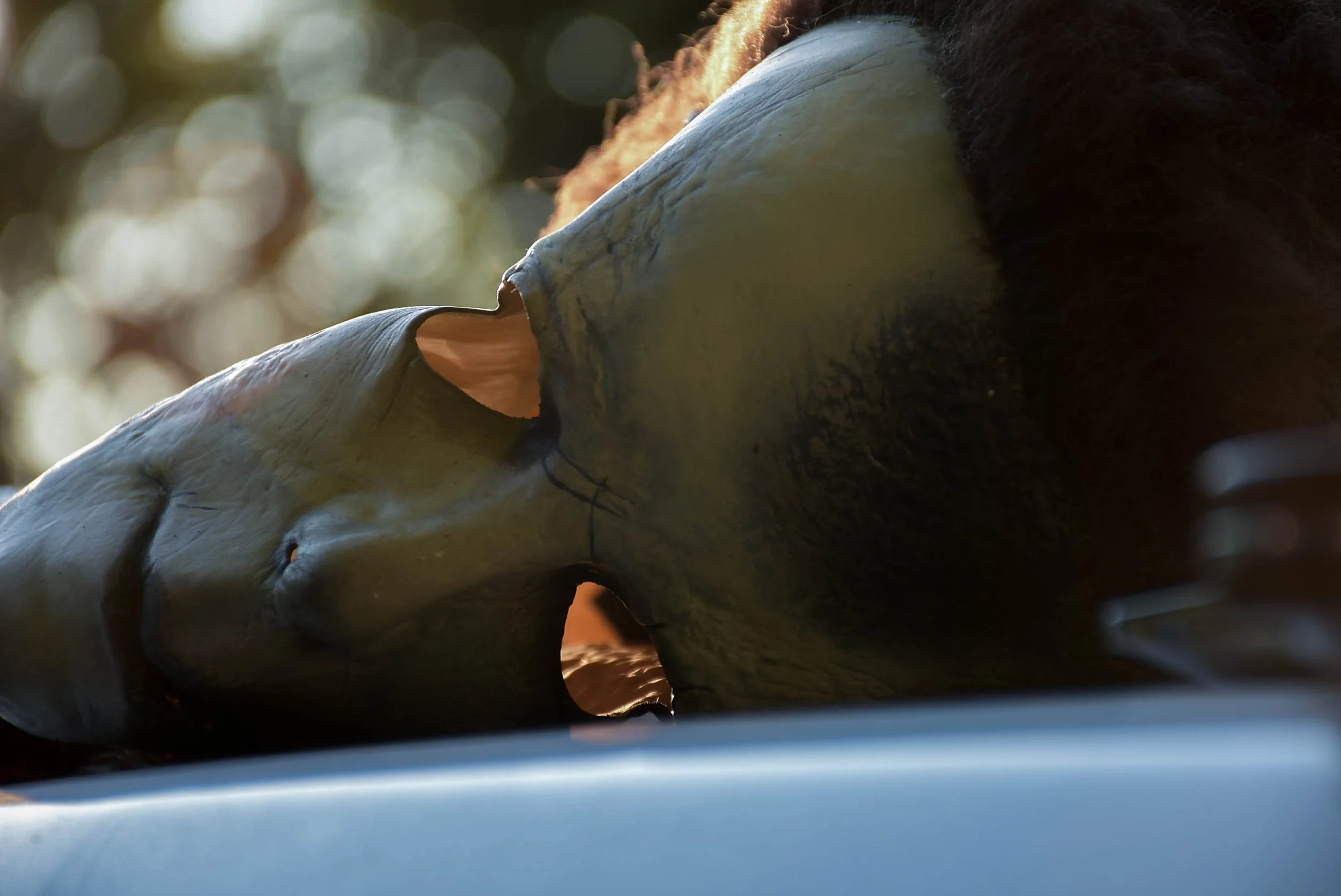 Aaron_Micheal_Color (55 of 87).jpg