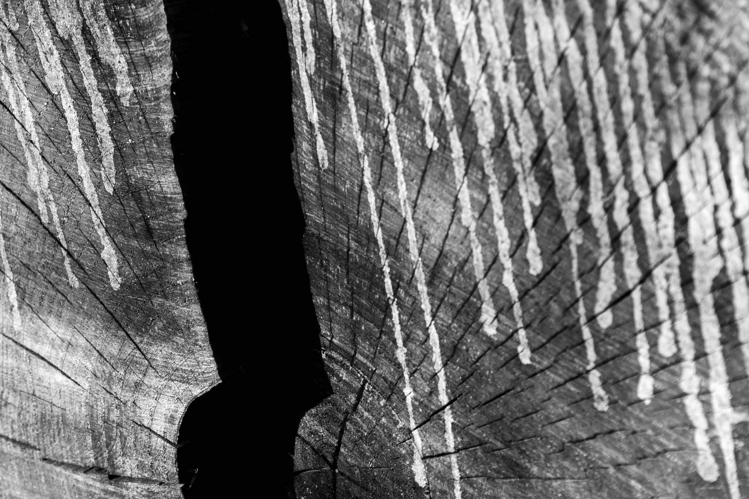 rusiecki_poe (10 of 20).jpg