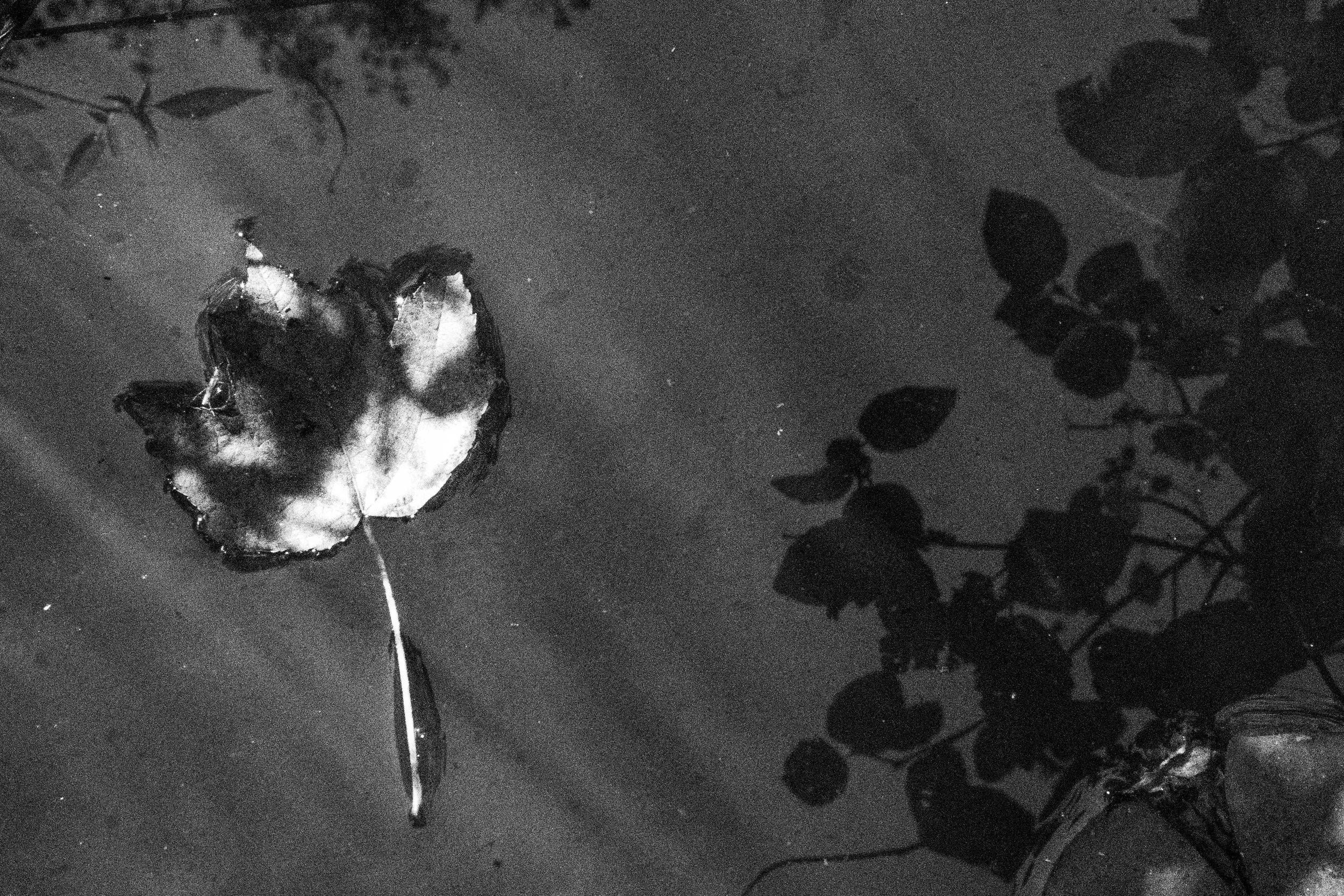 extra (10 of 24).jpg