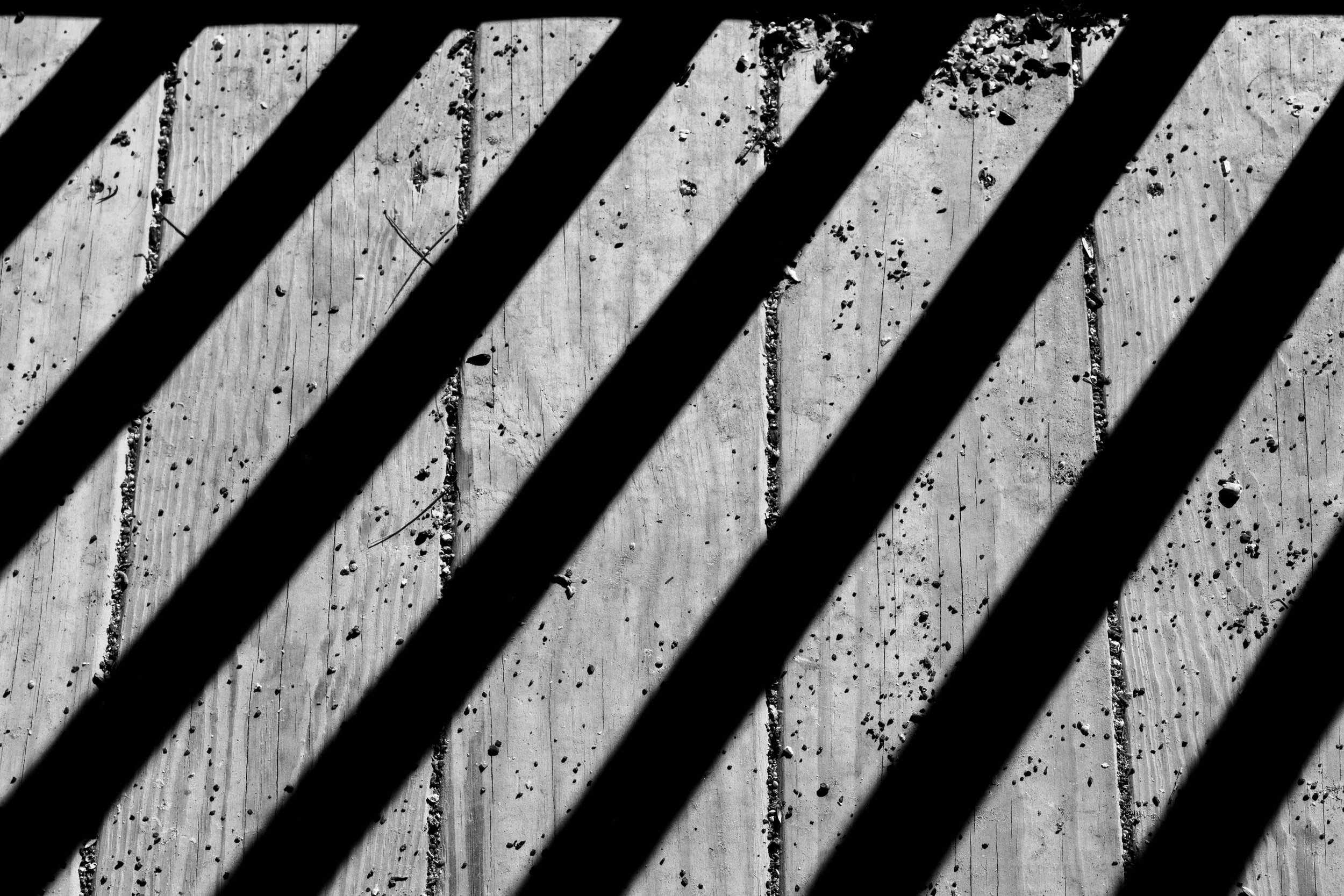 rusiecki_poe (5 of 20).jpg