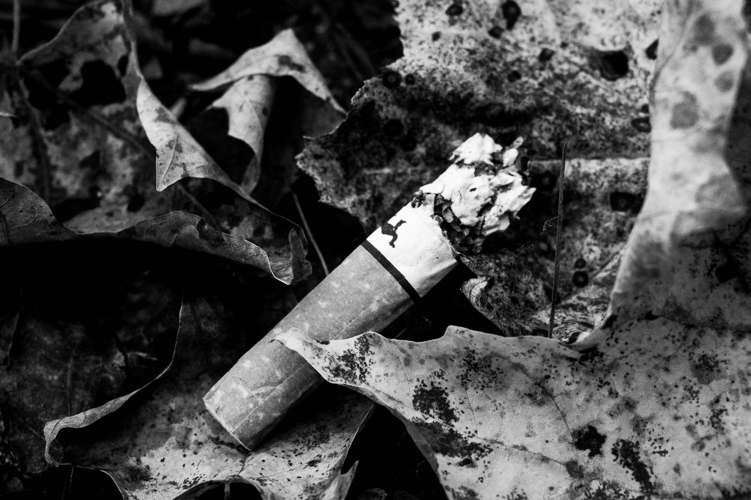 extra (17 of 24).jpg