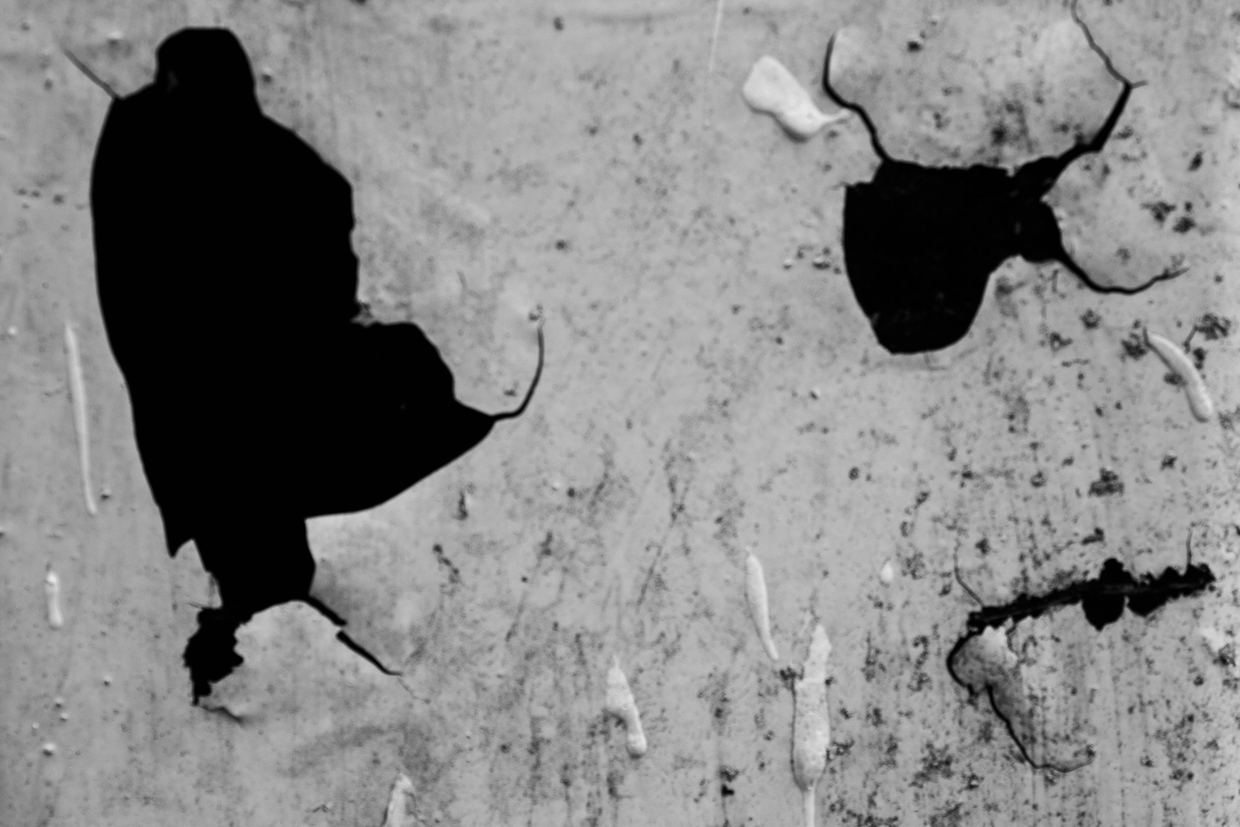 Second Exercise Exports (12 of 22).jpg