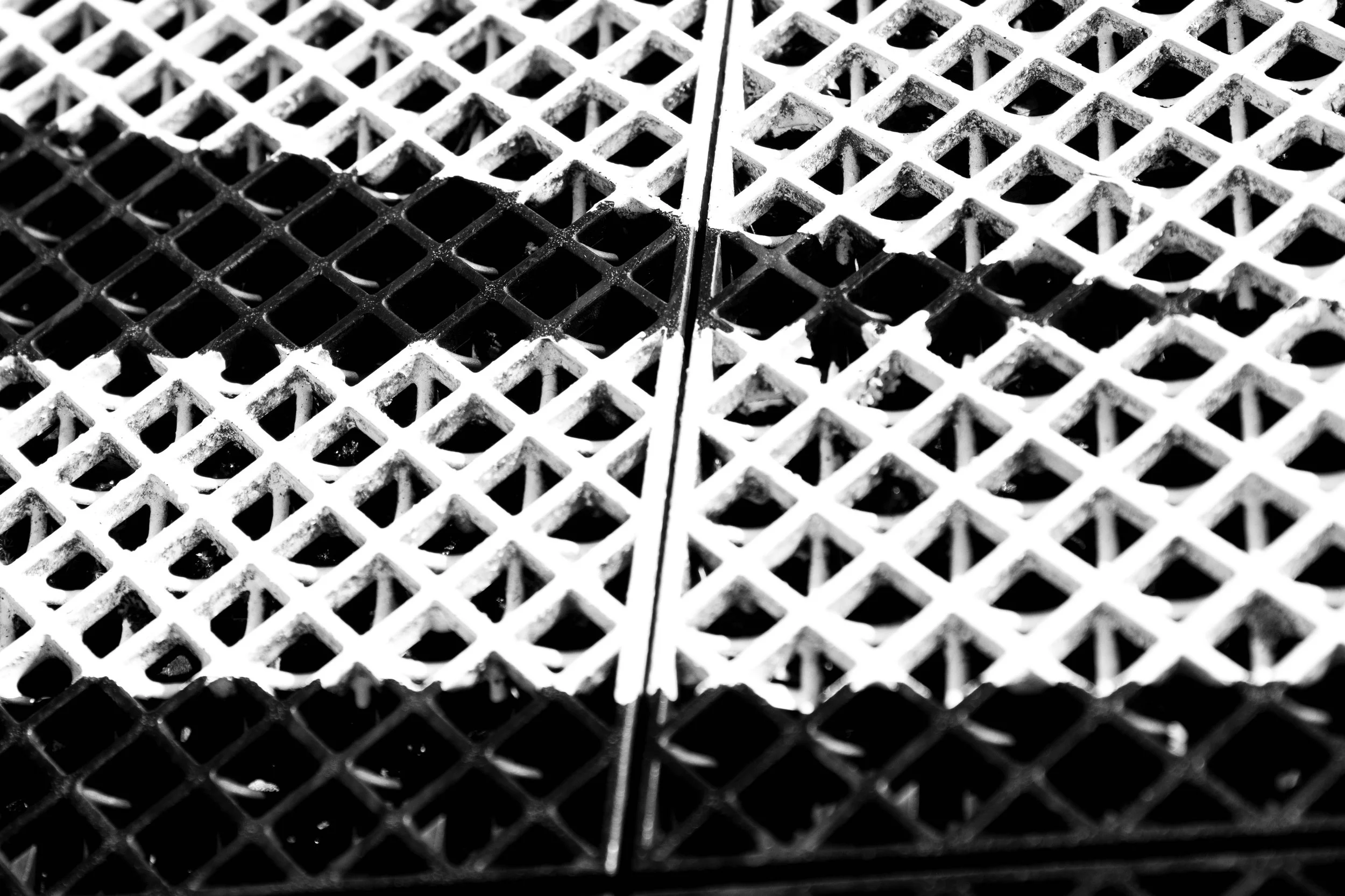 rusiecki_poe (11 of 20).jpg