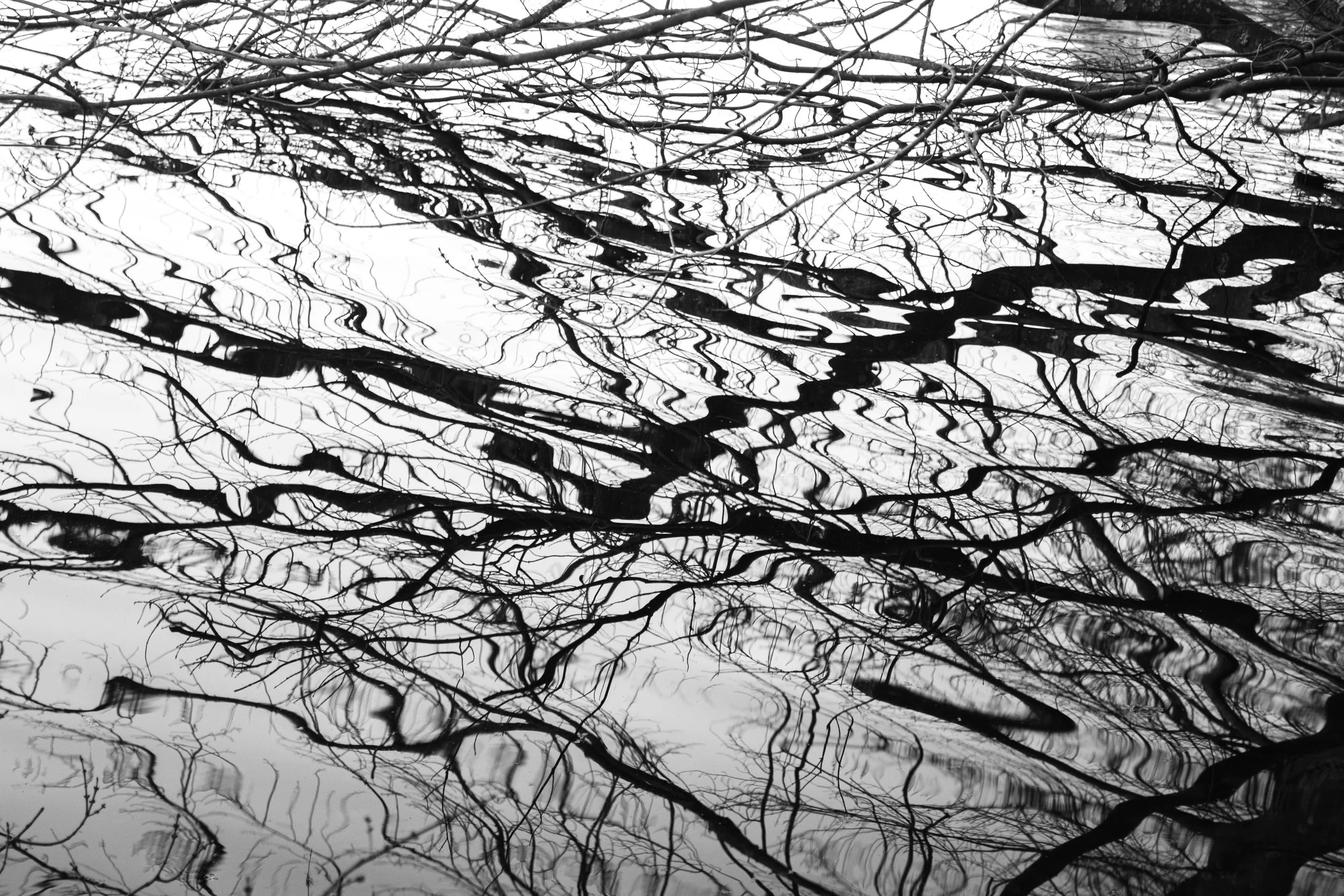 BANDW_springBreak (46 of 3).jpg