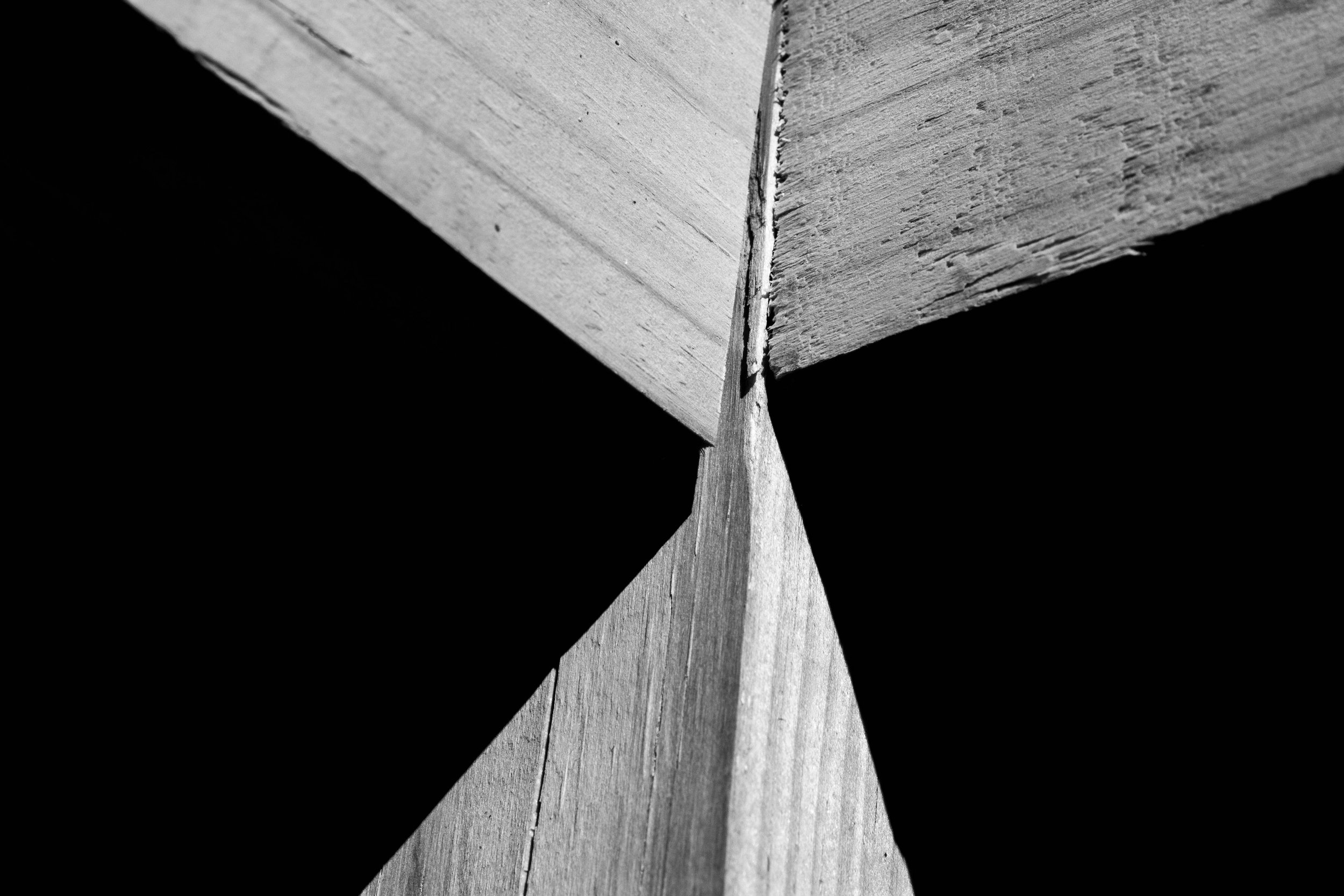 rusiecki_poe (3 of 20).jpg