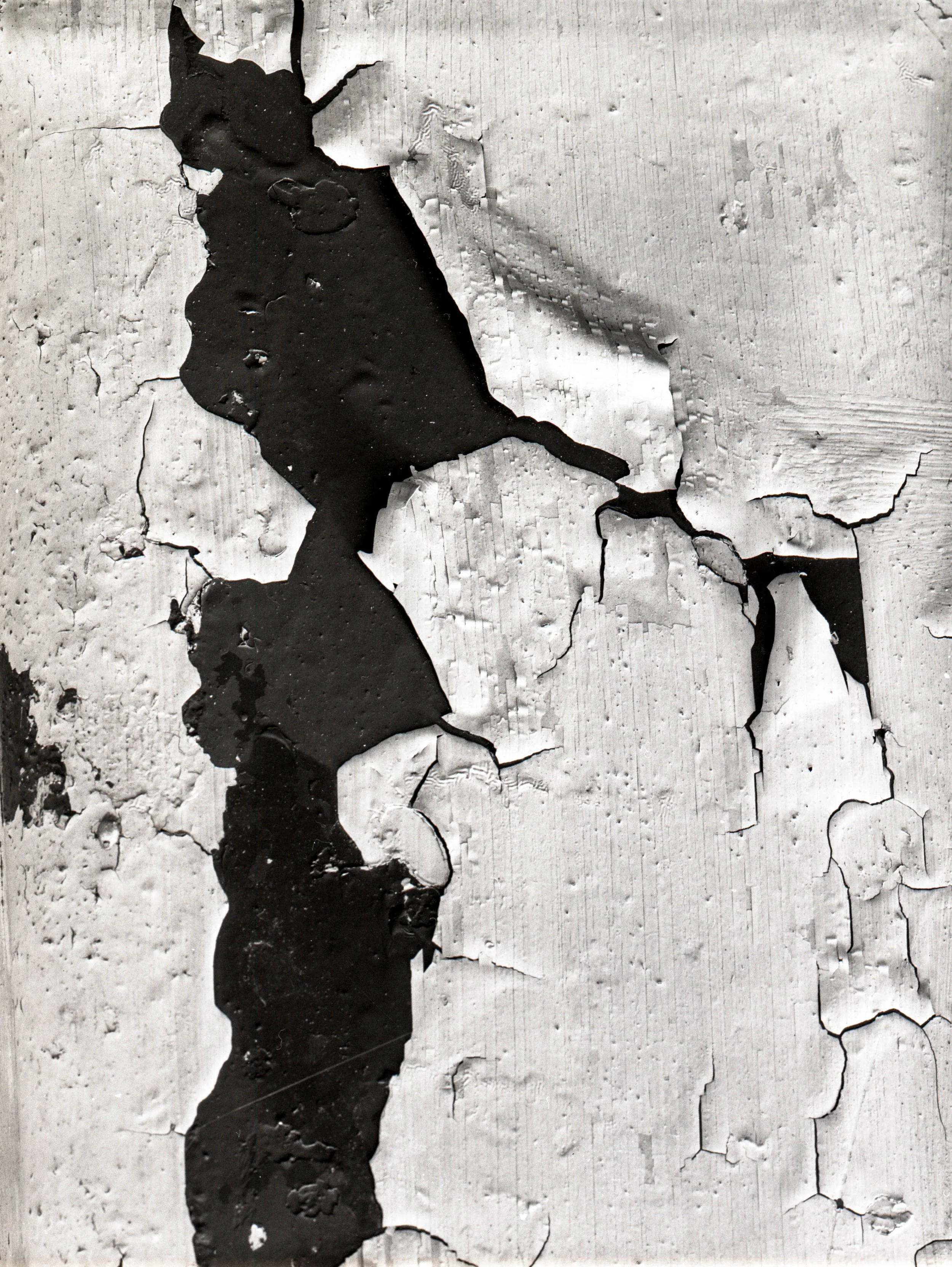 some more (1 of 2).jpg