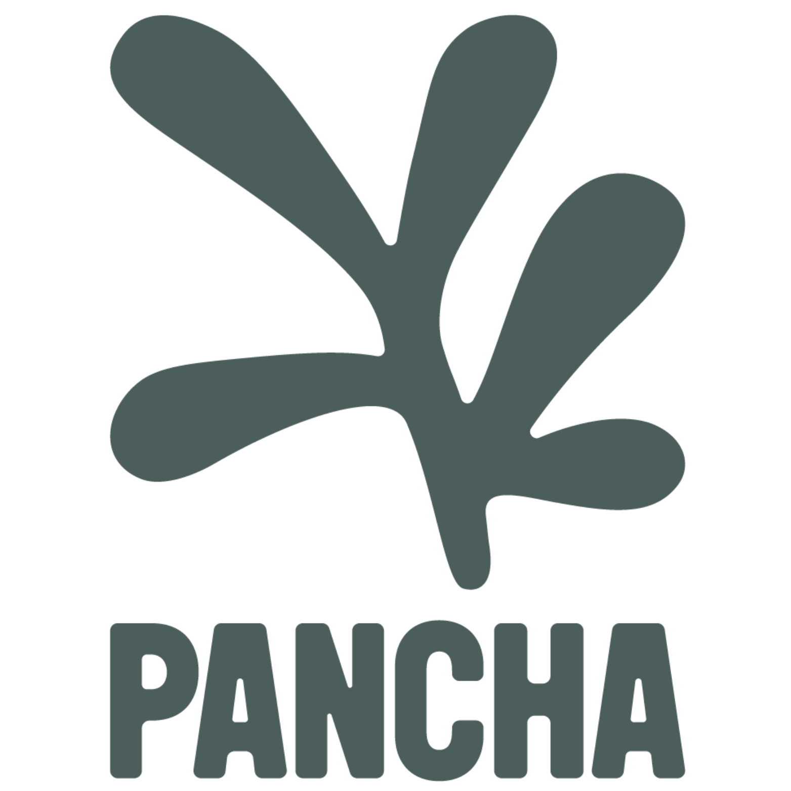A stylized logo featuring a green hand-like shape above the word "PANCHA" in bold, uppercase font.