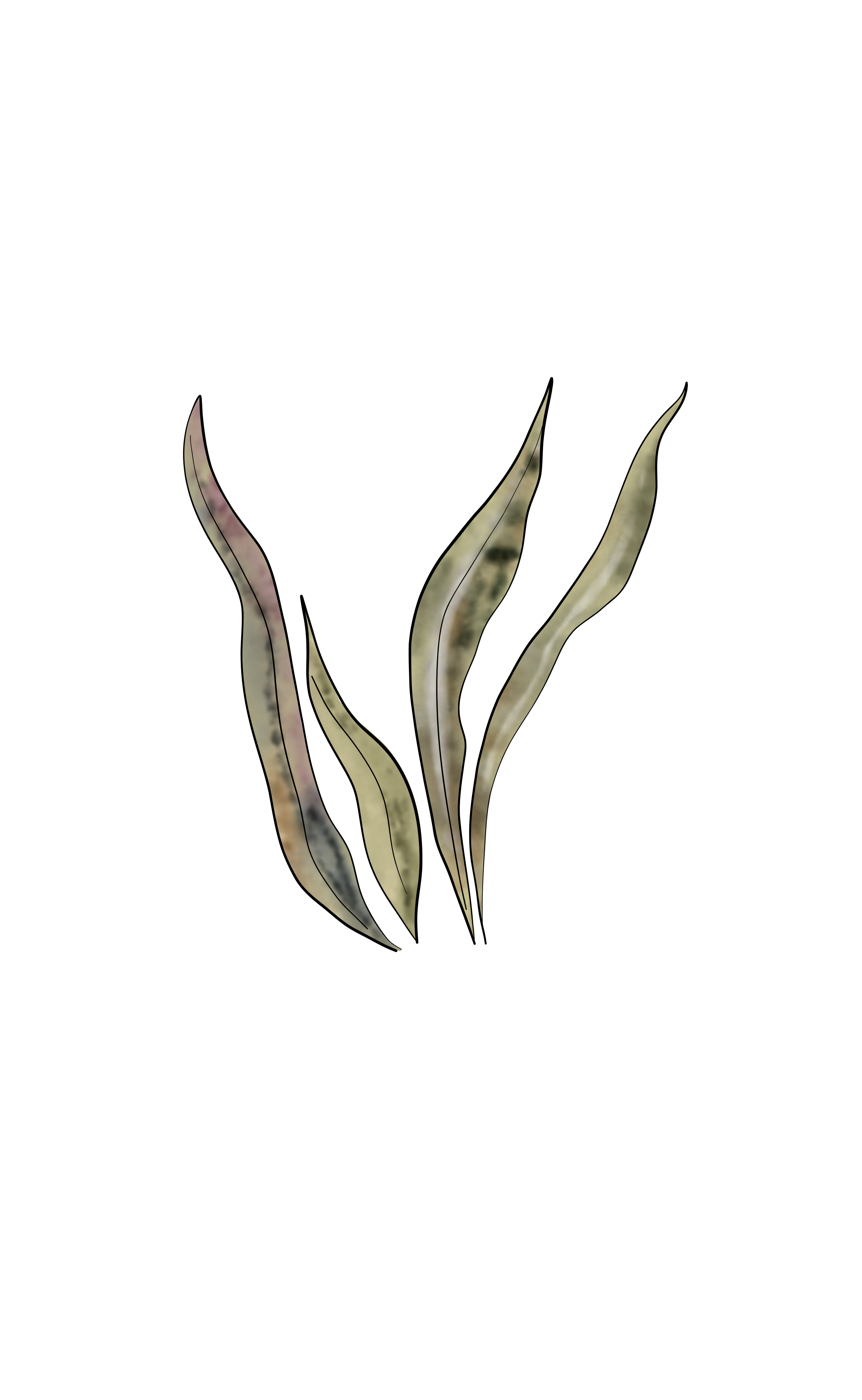 Flowers sea 3.png