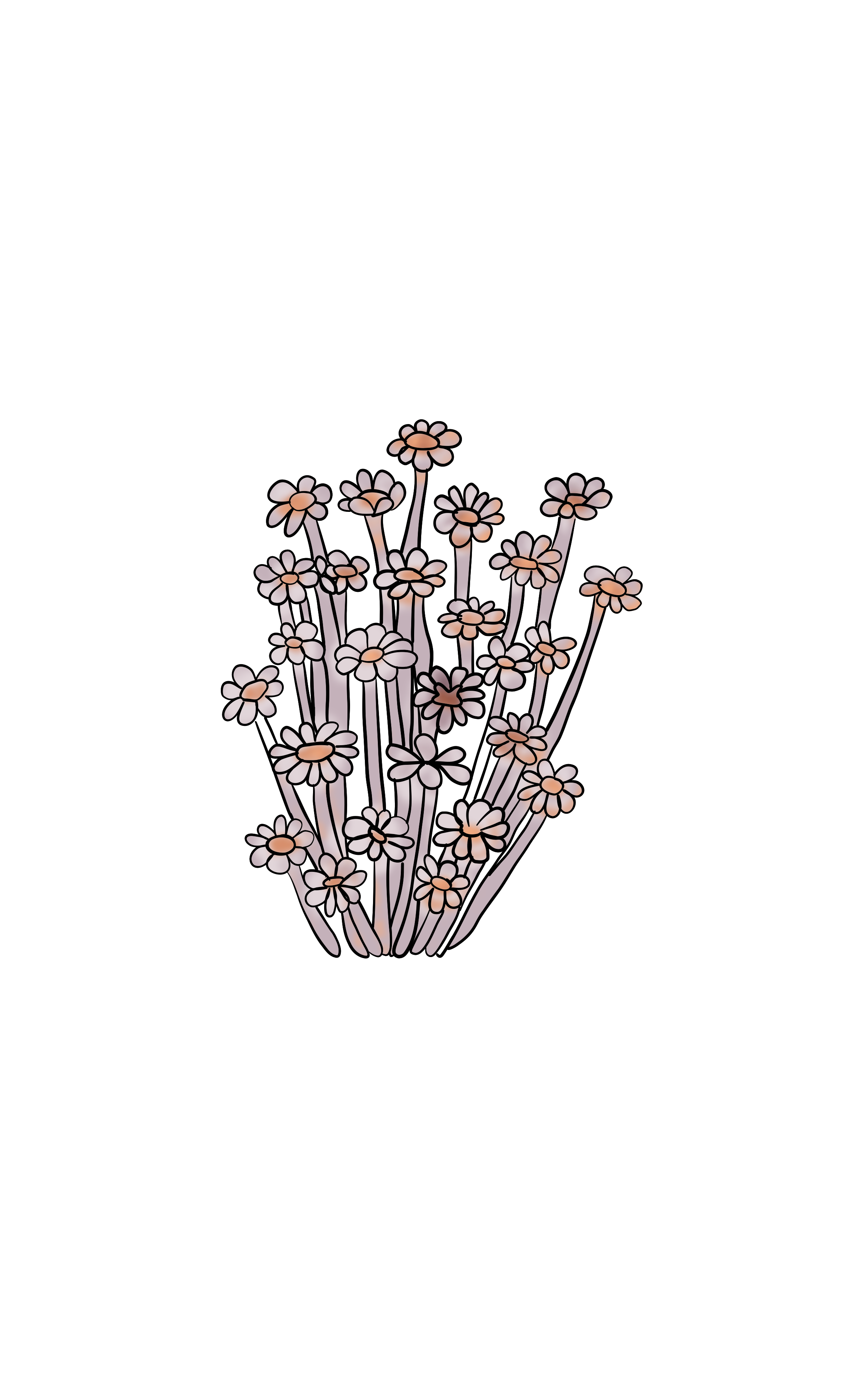 Flowers sea 2.png