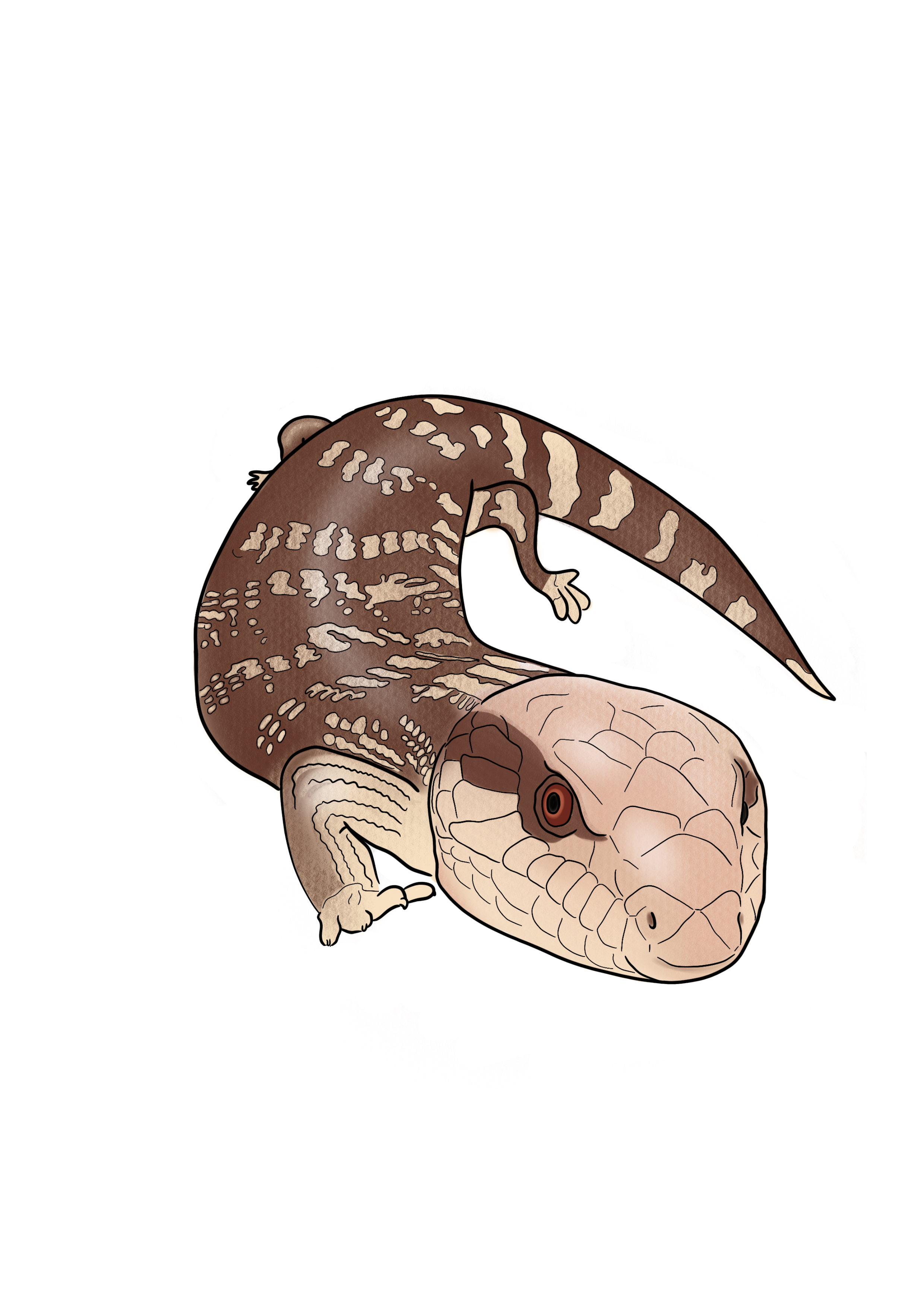 Blue tongue.png