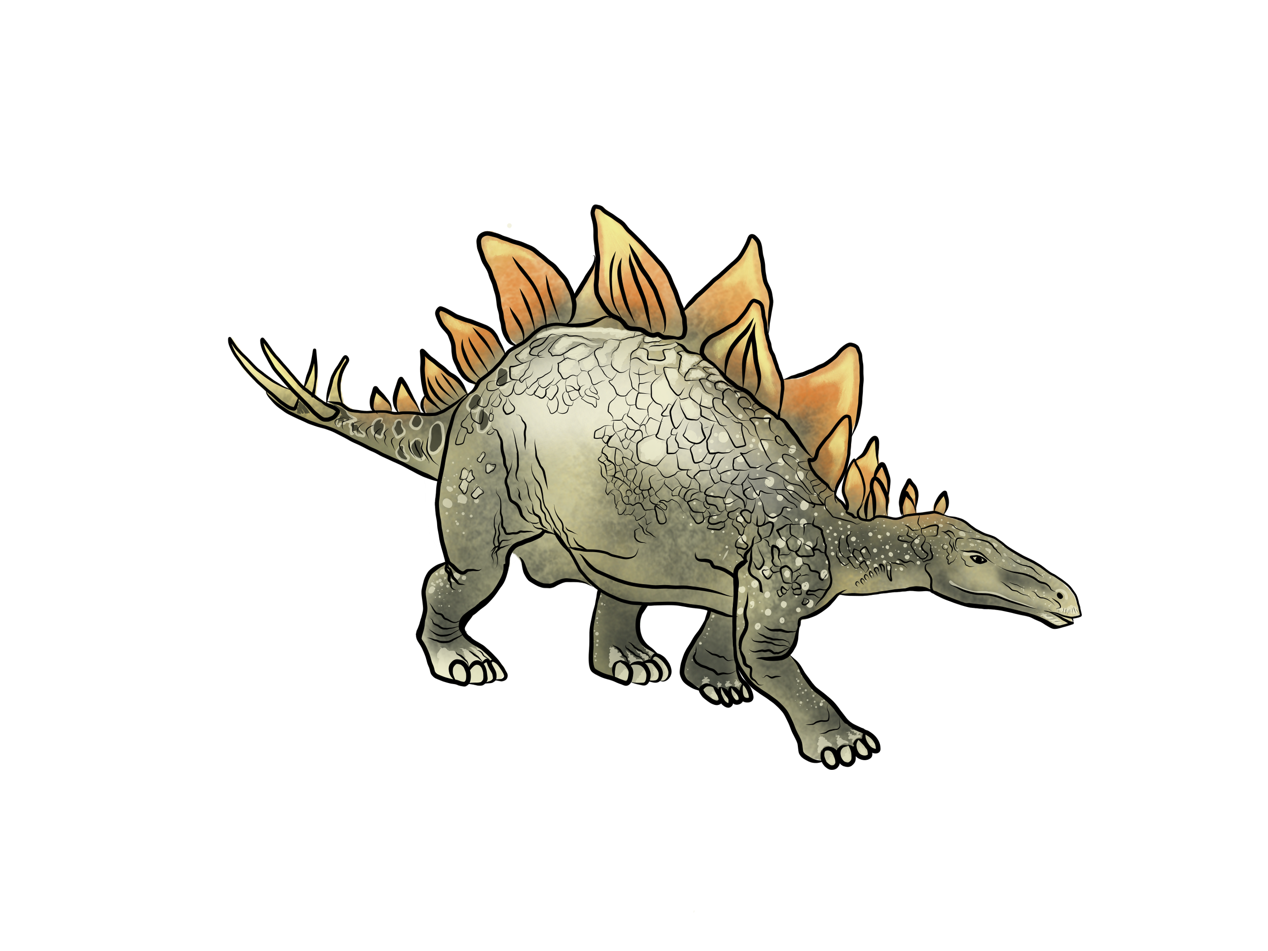 stego.png