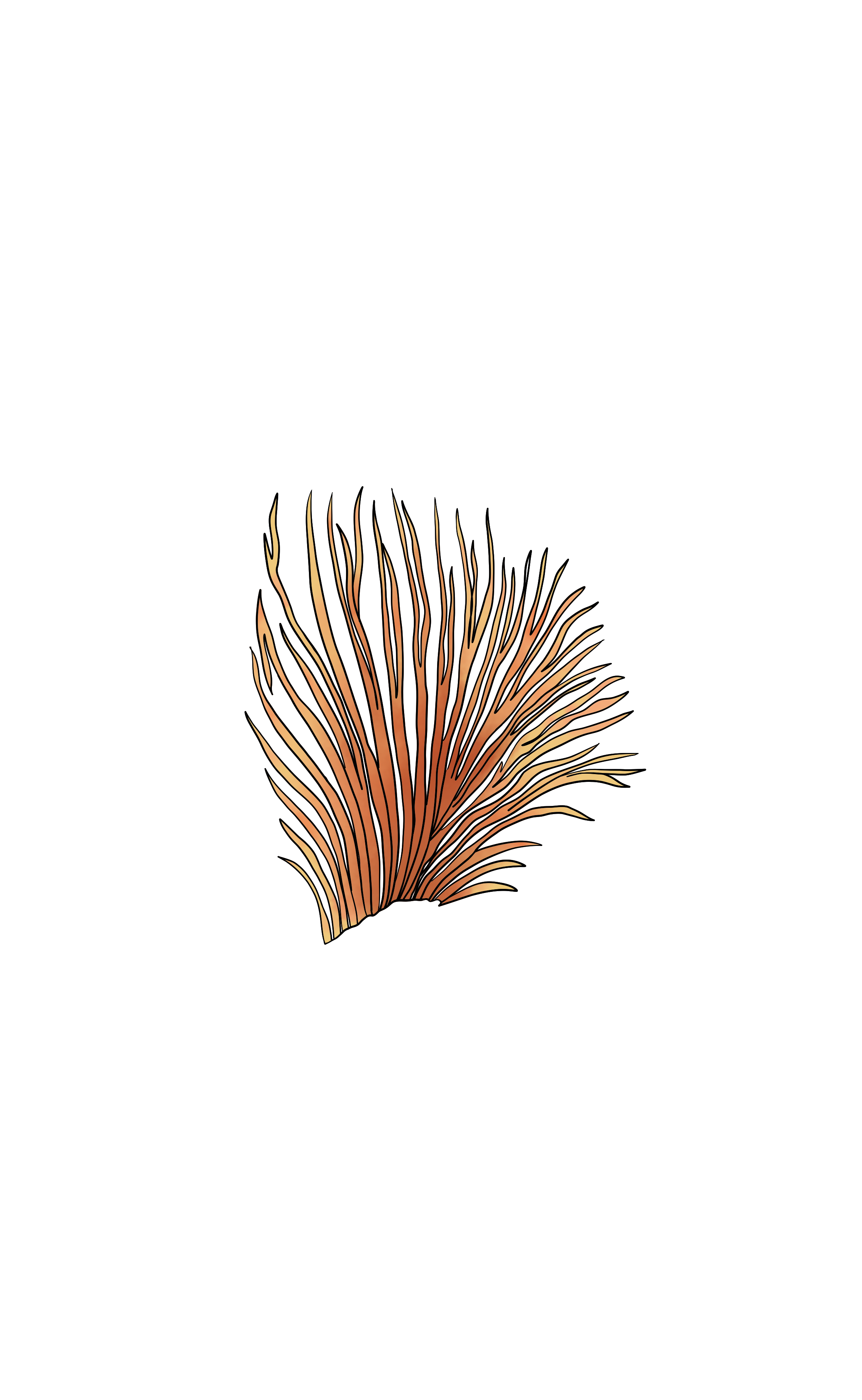 File 24-1-2024, 5 03 19 pm copy 2.png