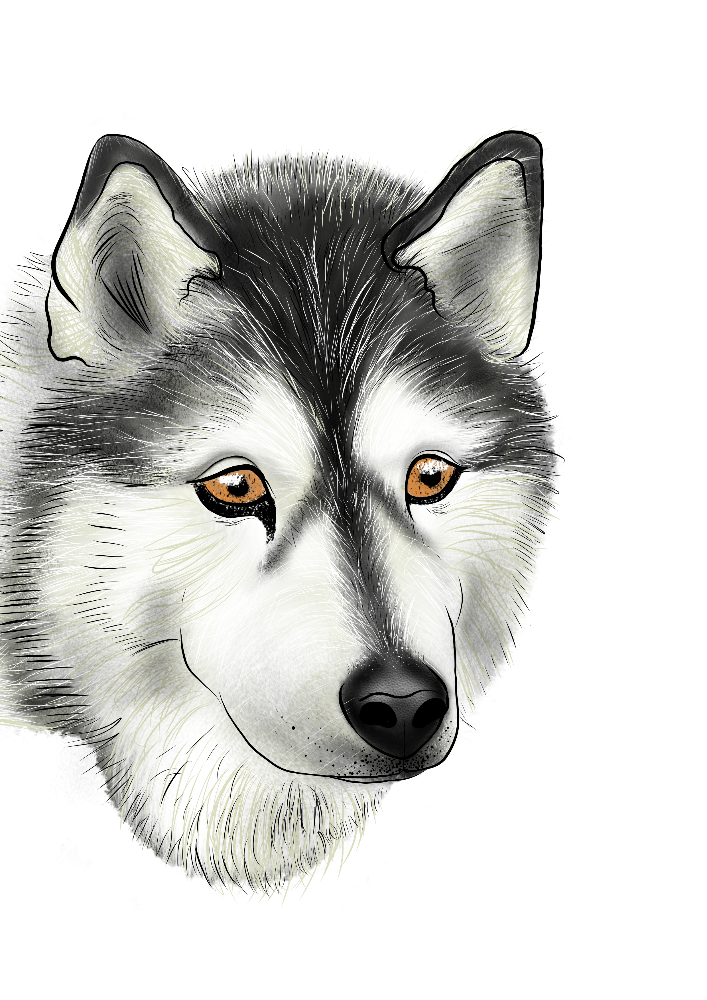 Dog.png