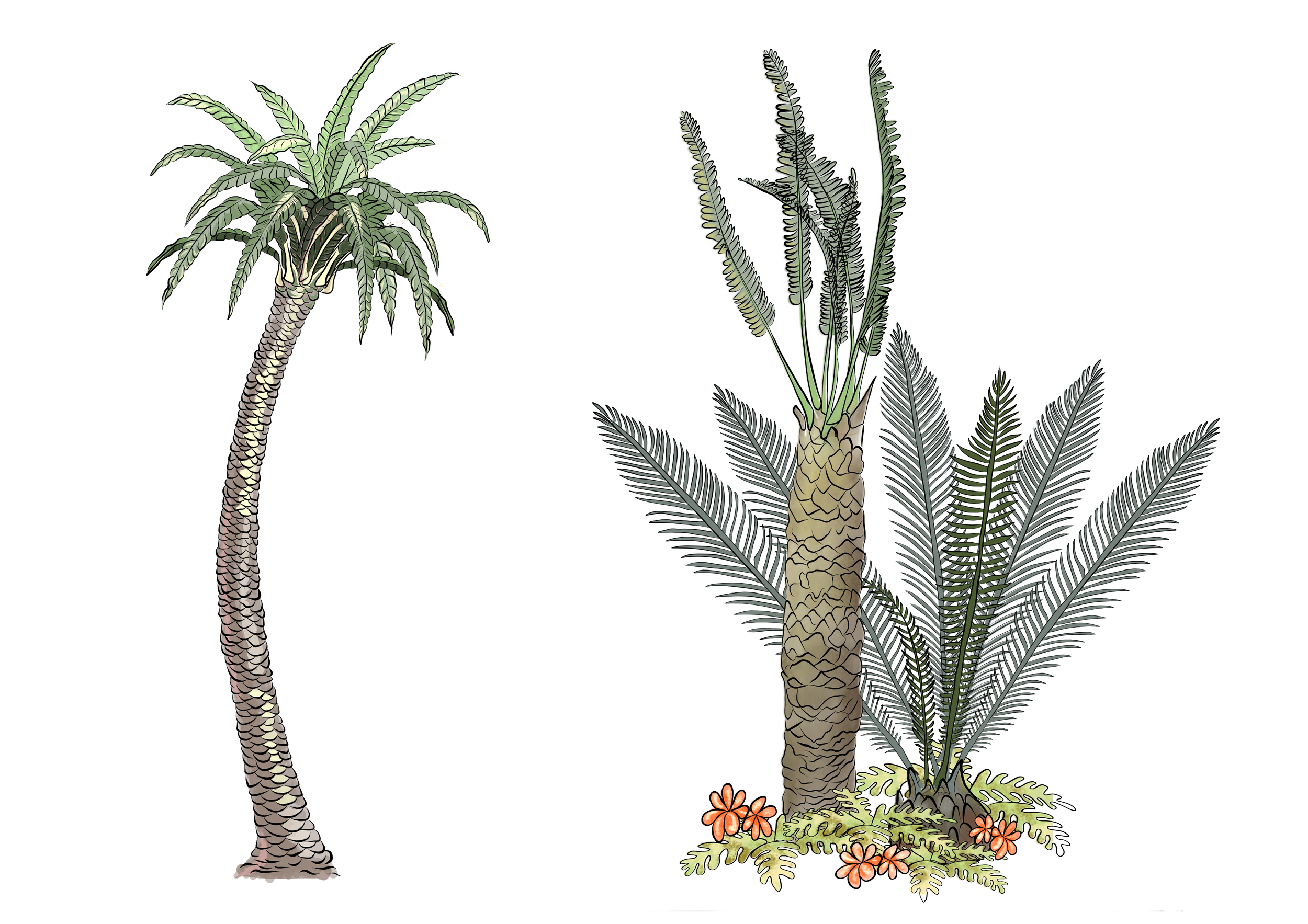 Dino plants.png