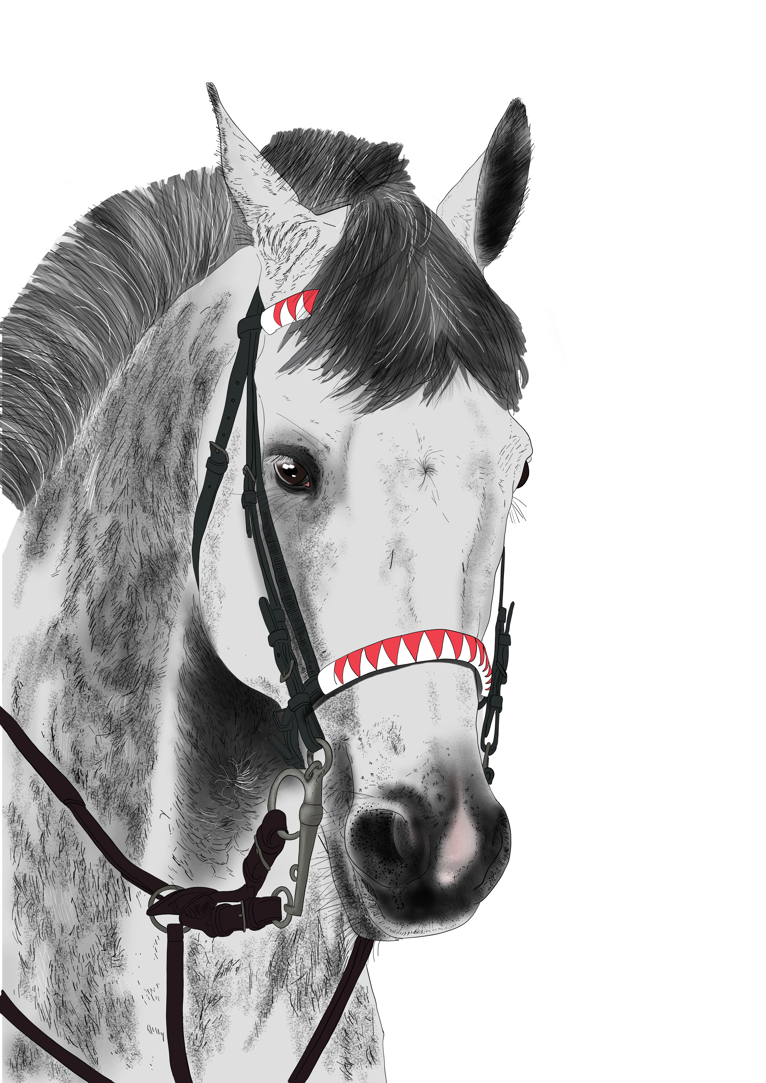 horse trans.png
