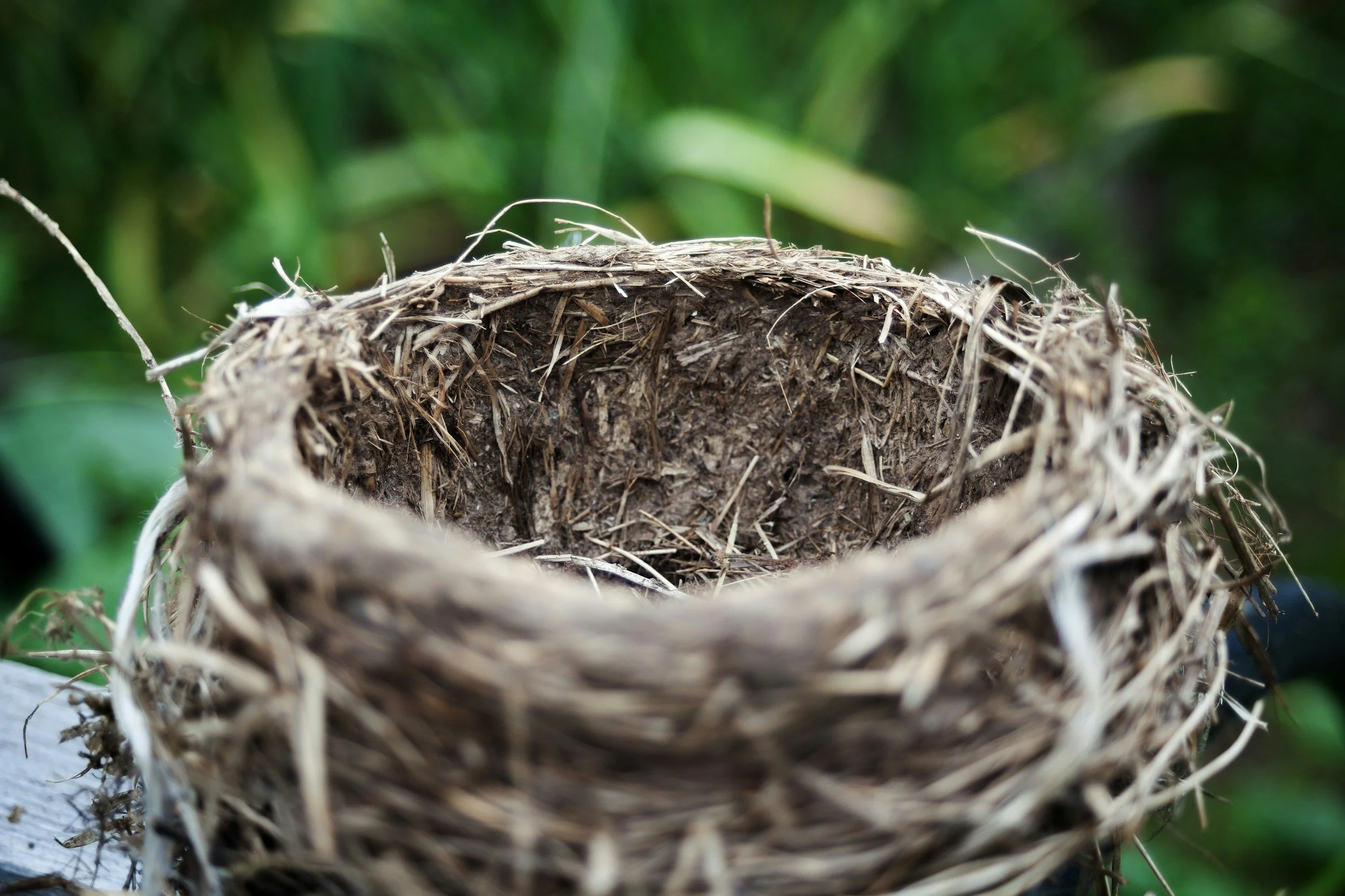 Growing Through Change: When the House Gets Quiet 