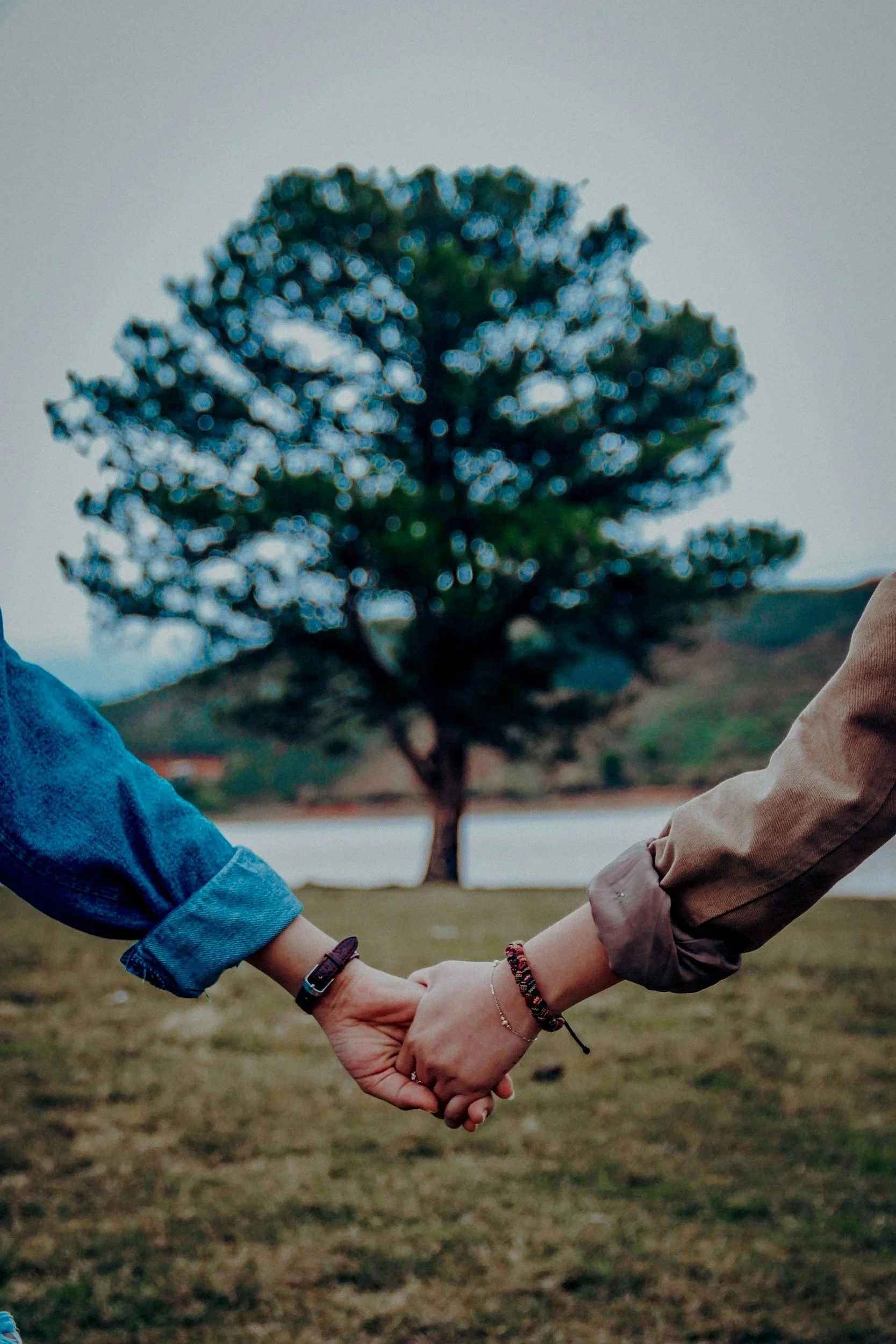 Two people holding hands outdoors with a large tree in the background
