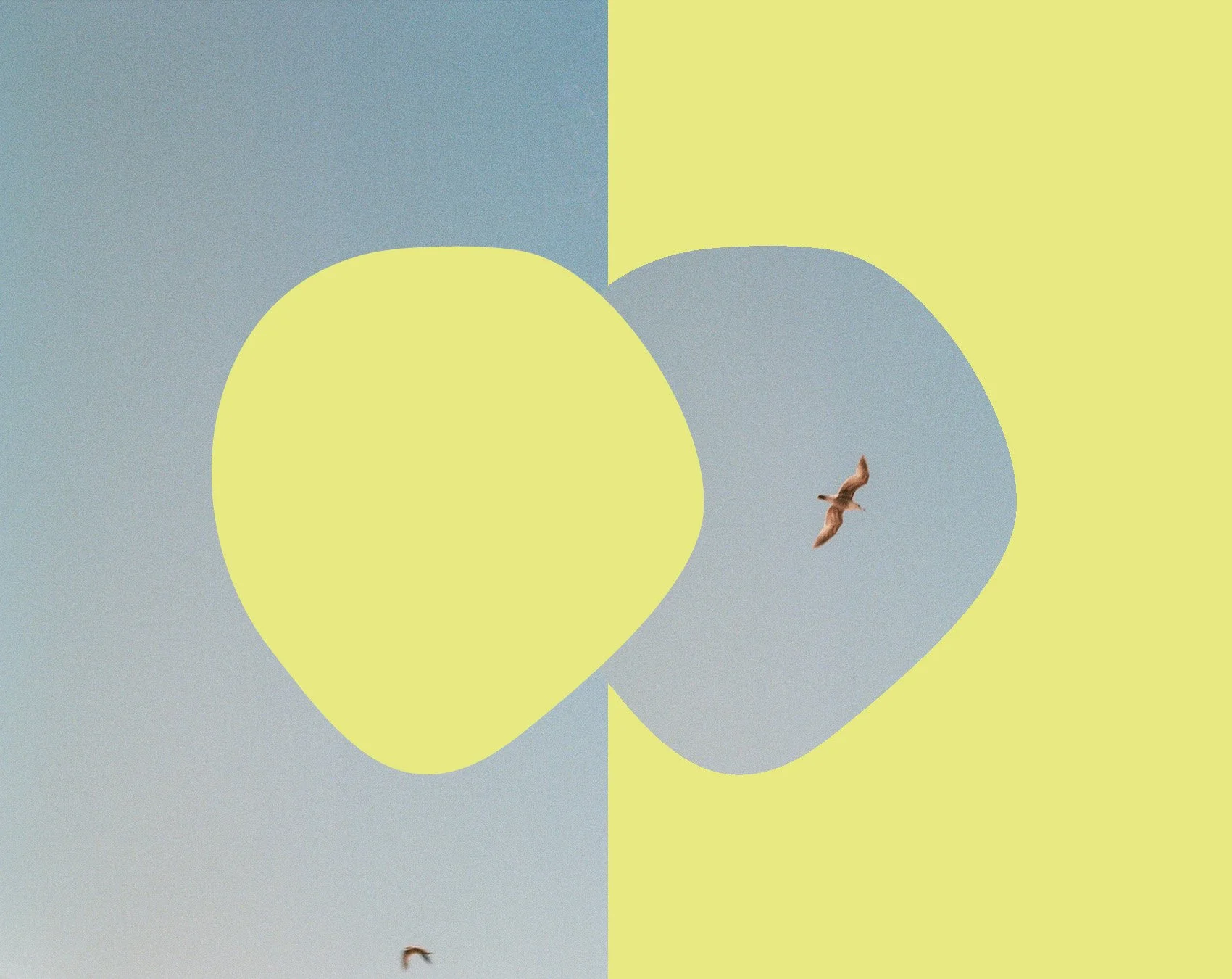 Geometric background with large yellow and gray hearts, two birds flying in the sky.