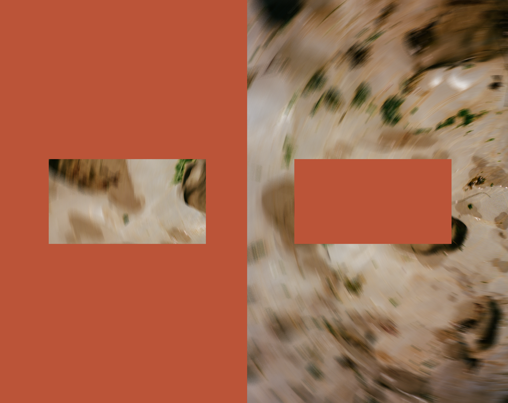 Blurry image with orange rectangles overlaying indistinct natural scenery, possibly featuring trees and water.