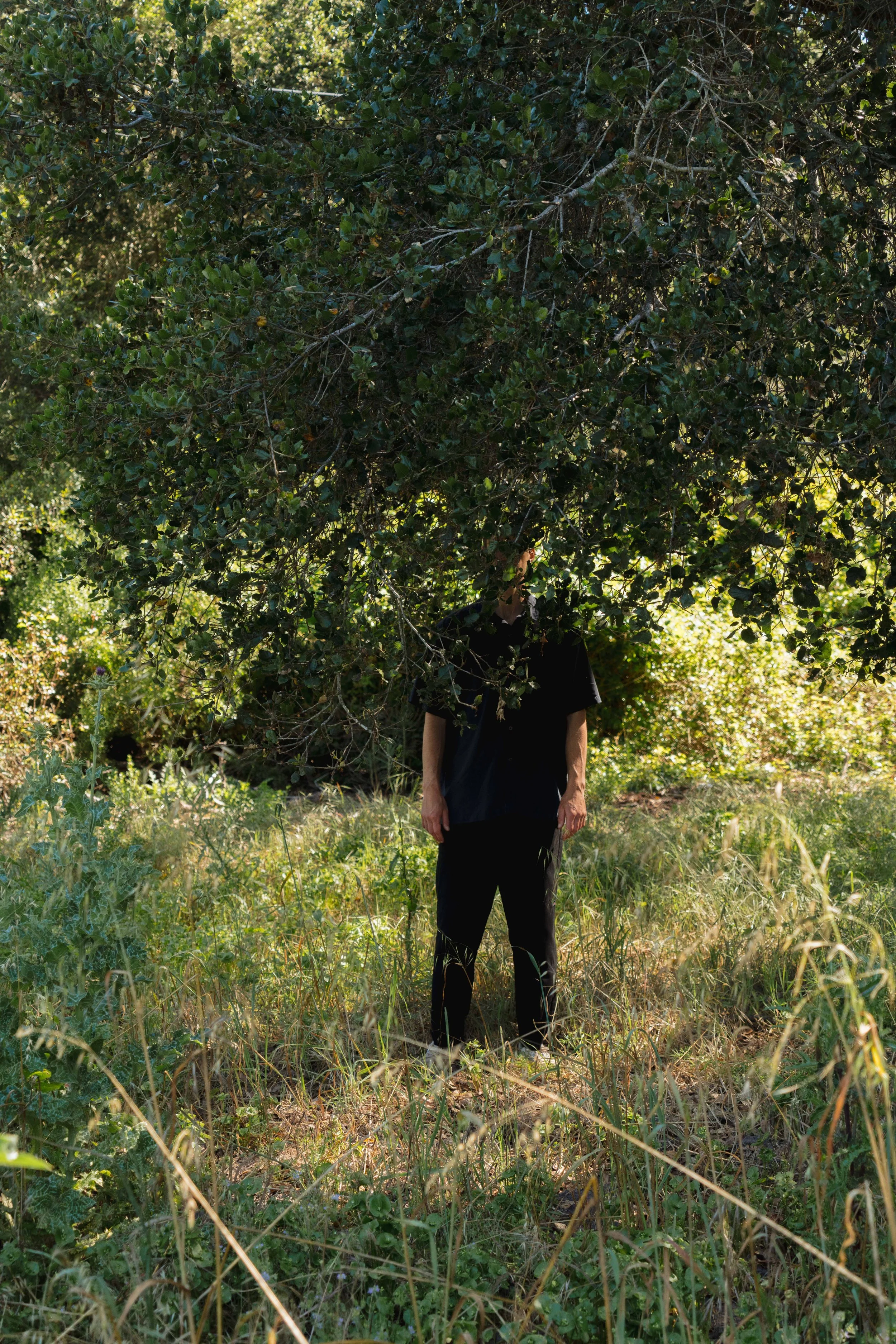 Head in the trees from burnout