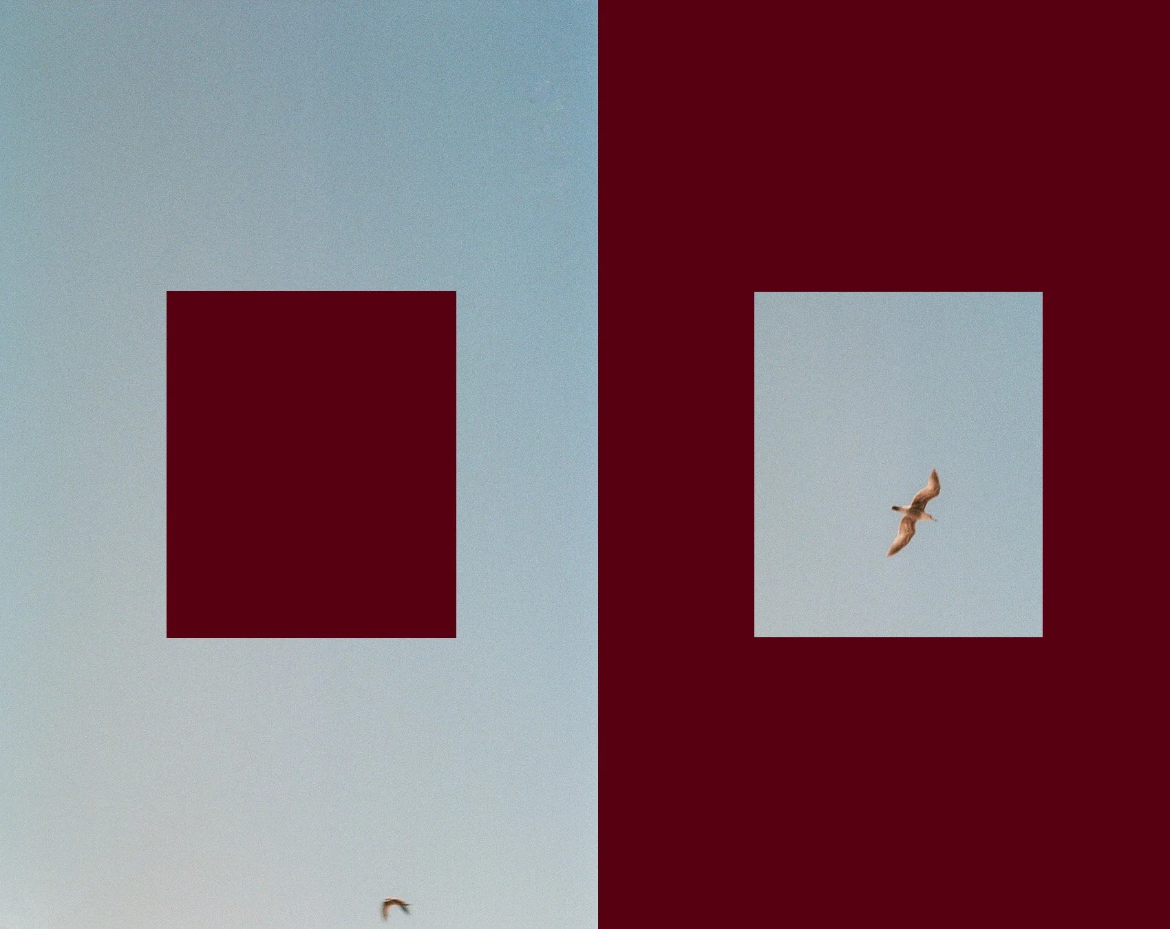 Two large squares with a smaller square at the bottom, the left square is light gray with a dark red square in the center, and the right square is dark red with a small light gray square at the bottom. A bird is flying in the sky within the smaller square on the right.