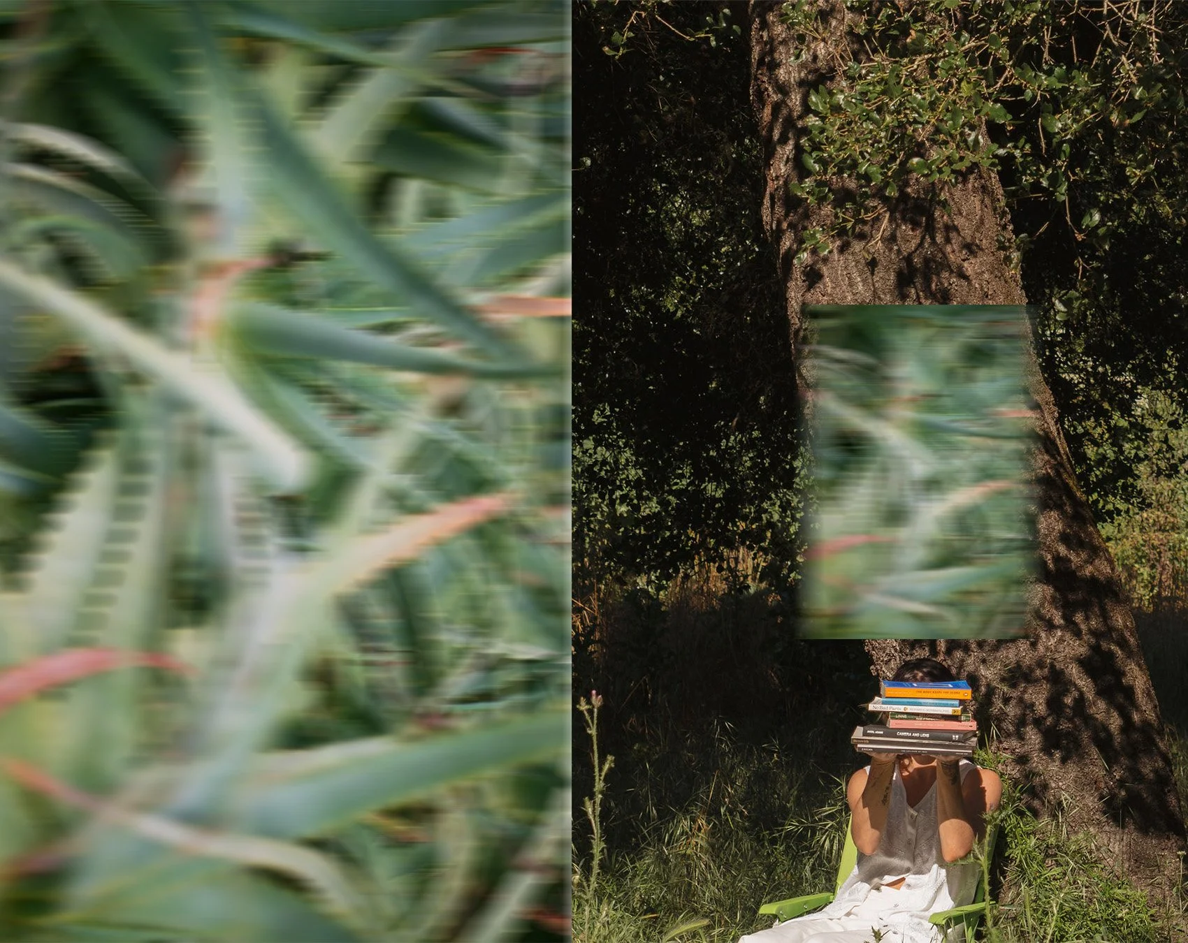 Blurred close-up of green plants on the left side of the image, and a person sitting outdoors in a natural setting with a large stack of books balanced on their head on the right side.