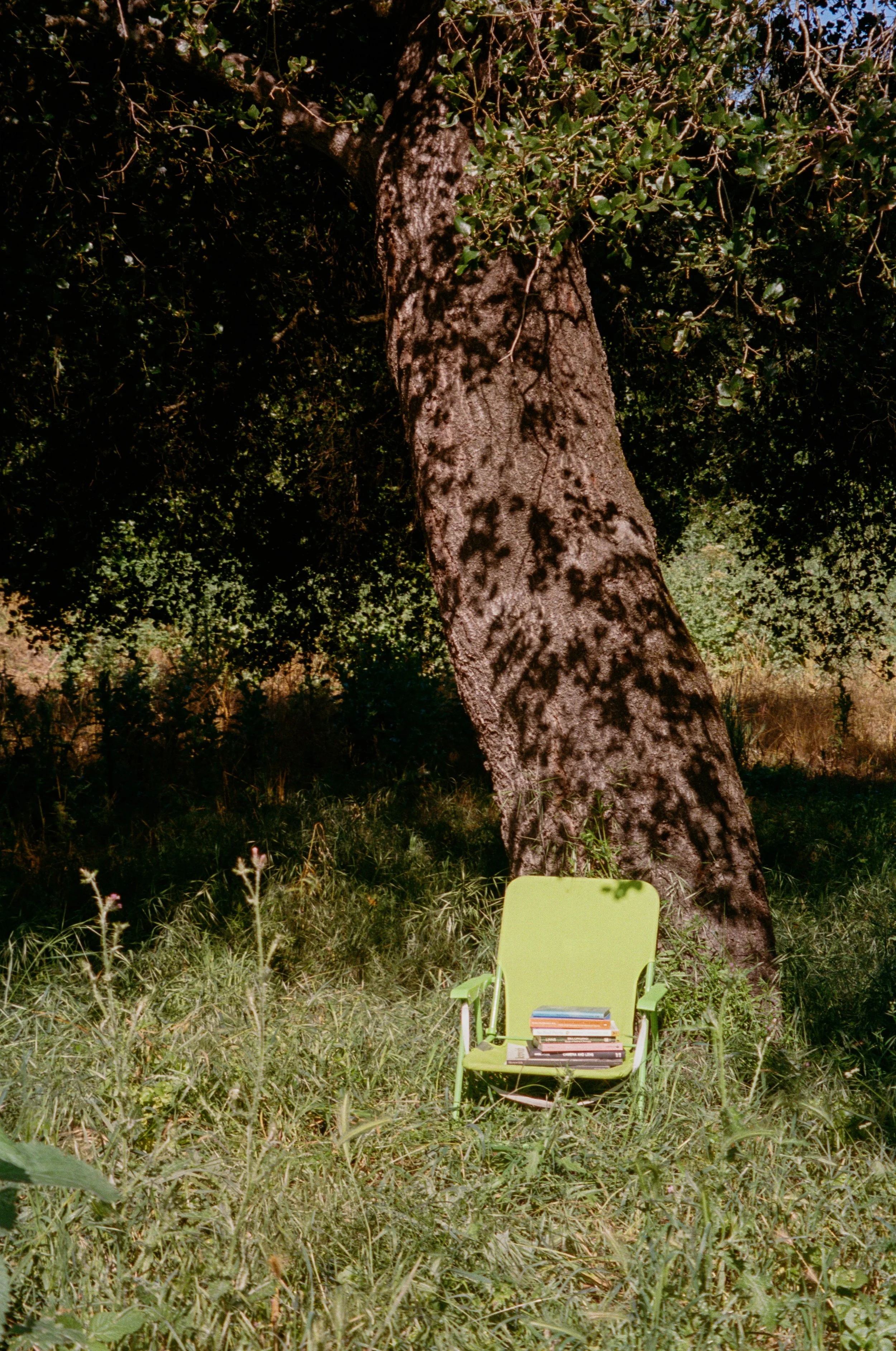 relaxing taking a break from caregiving