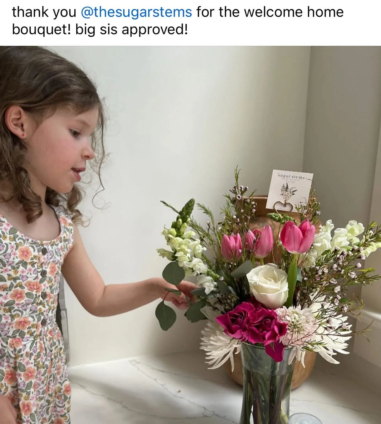 Thank you to our amazing clients for trusting The Sugar Stems to be part of your most cherished milestones. Your moments inspire every bloom we create.

#TheSugarStems #CharlotteFlorist #CharlotteFlowers #CLTFlorist #CharlotteNCFloralDesign #NewBabyF