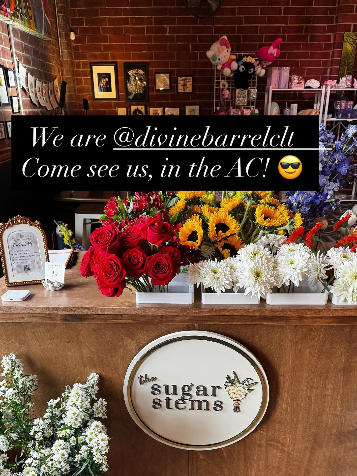 @divinebarrelclt  with a ton of amazing vendors! Stay cool and come see us!